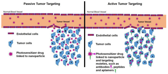 Pharmaceutics 15 02064 g005
