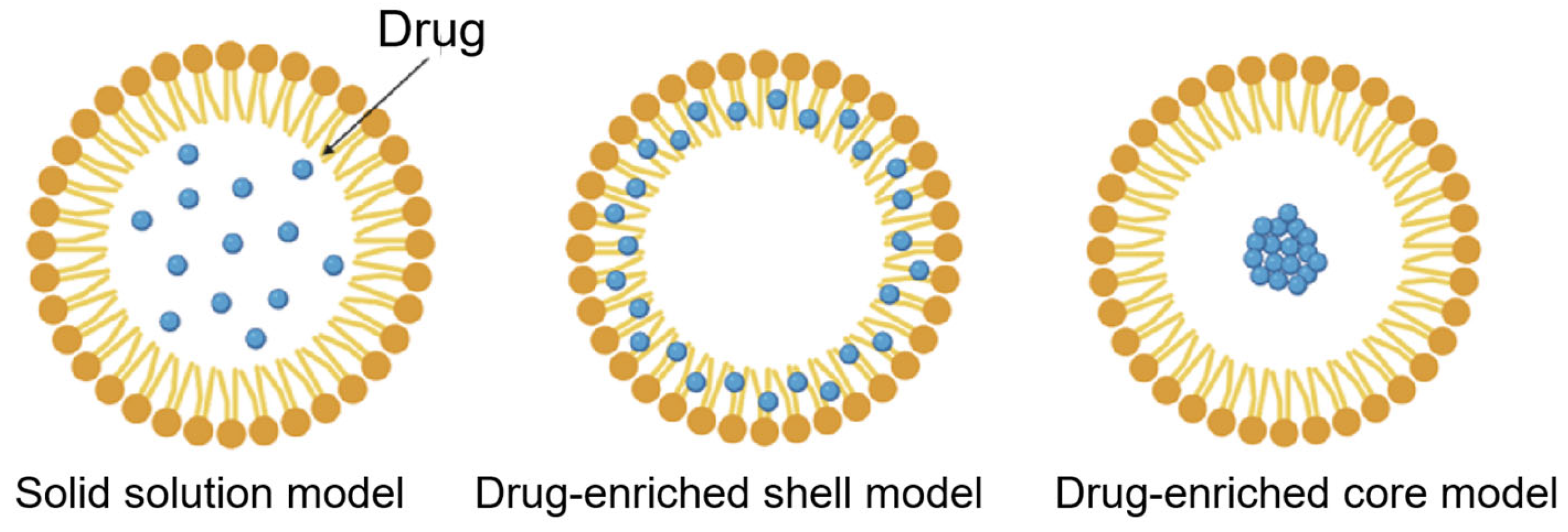 Pharmaceutics 15 02065 g001