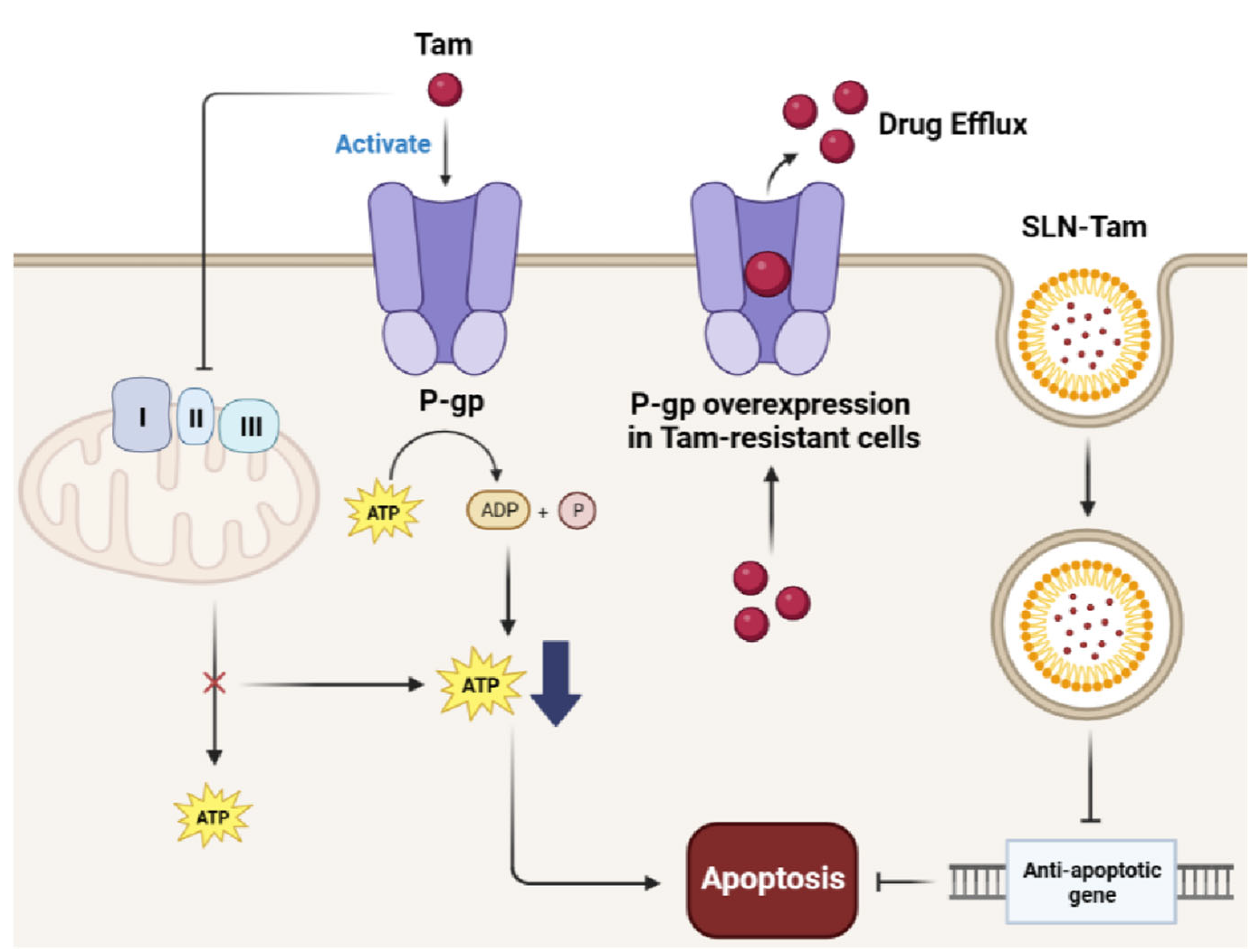 Pharmaceutics 15 02065 g002