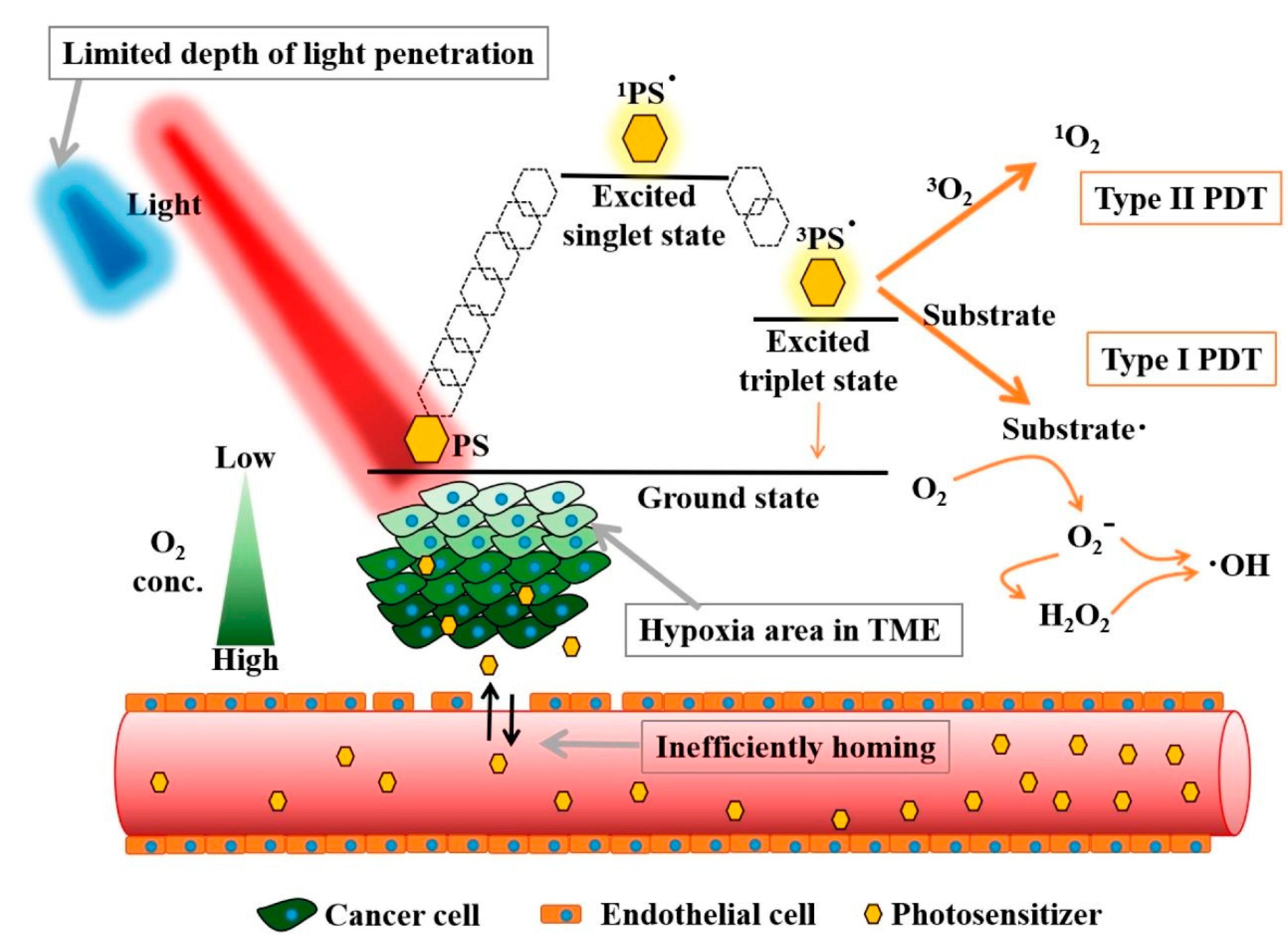 Pharmaceutics 15 02075 g001
