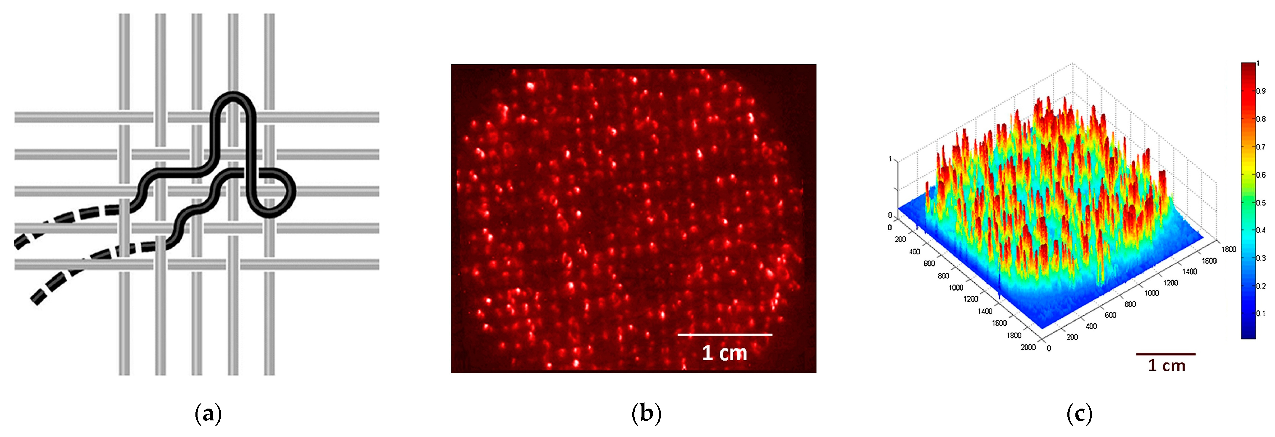 Pharmaceutics 15 02075 g004