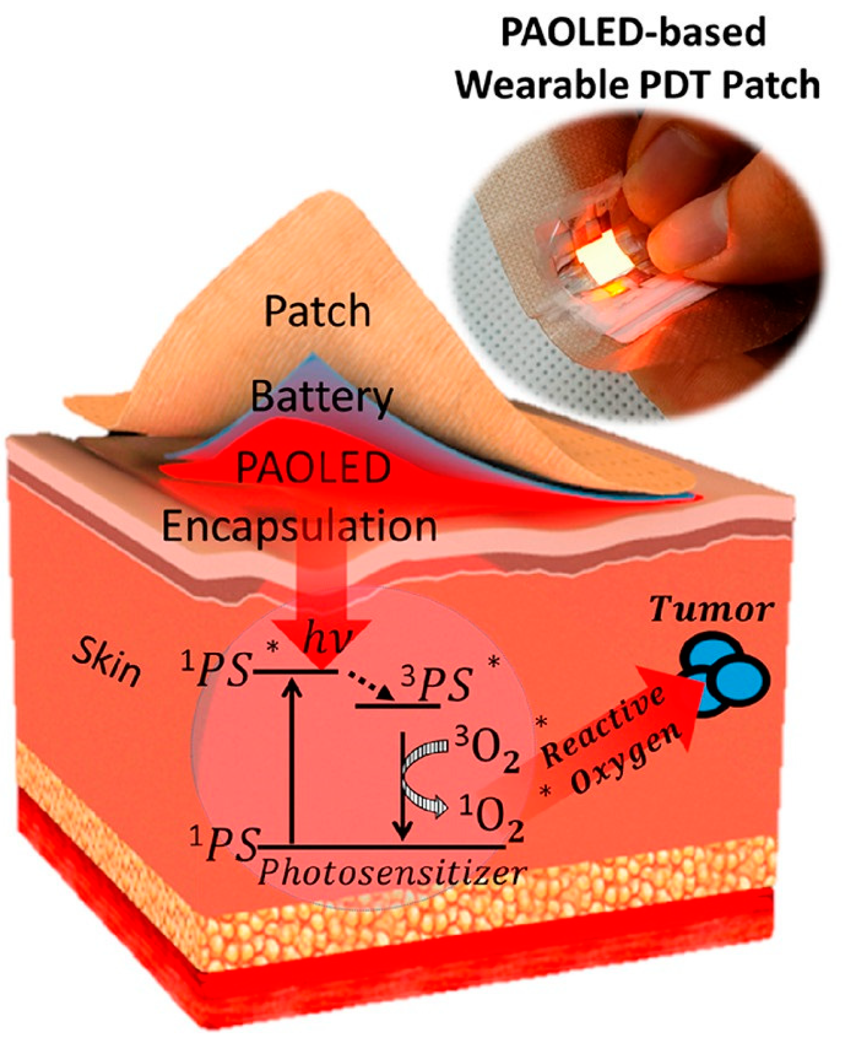 Pharmaceutics 15 02075 g009