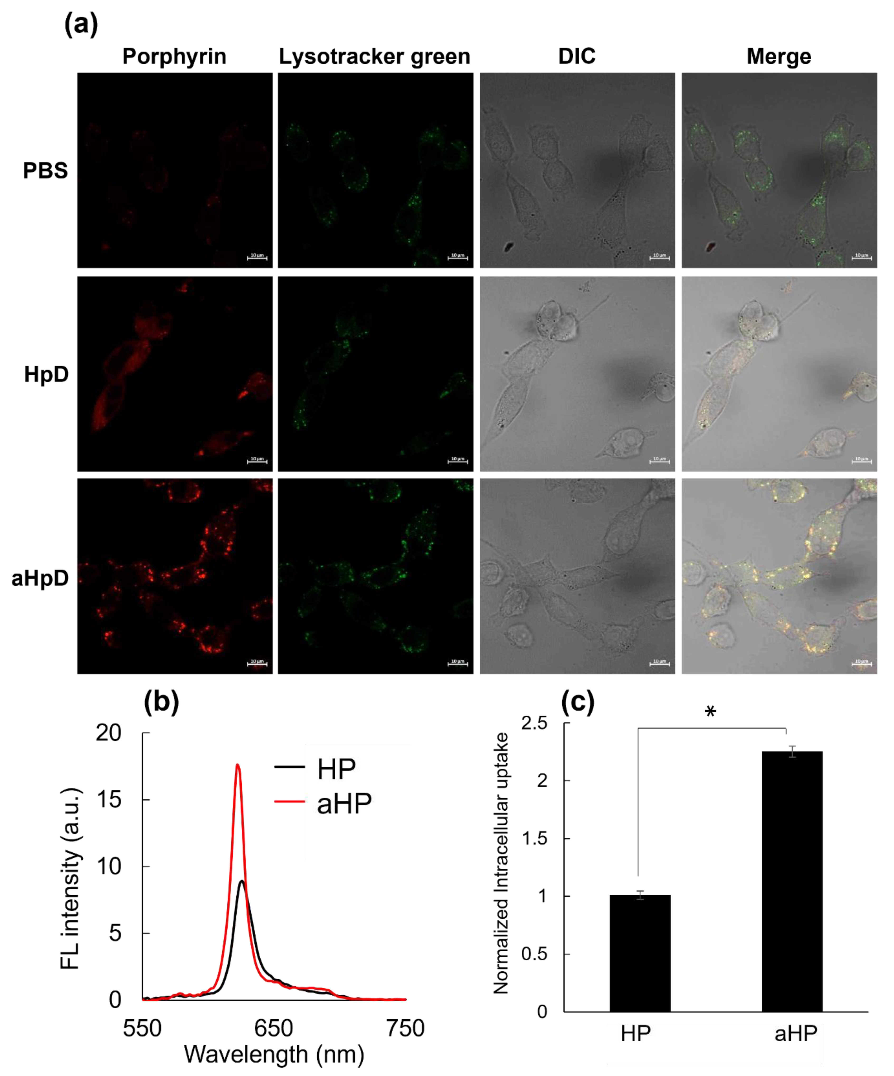 Pharmaceutics 15 02076 g002