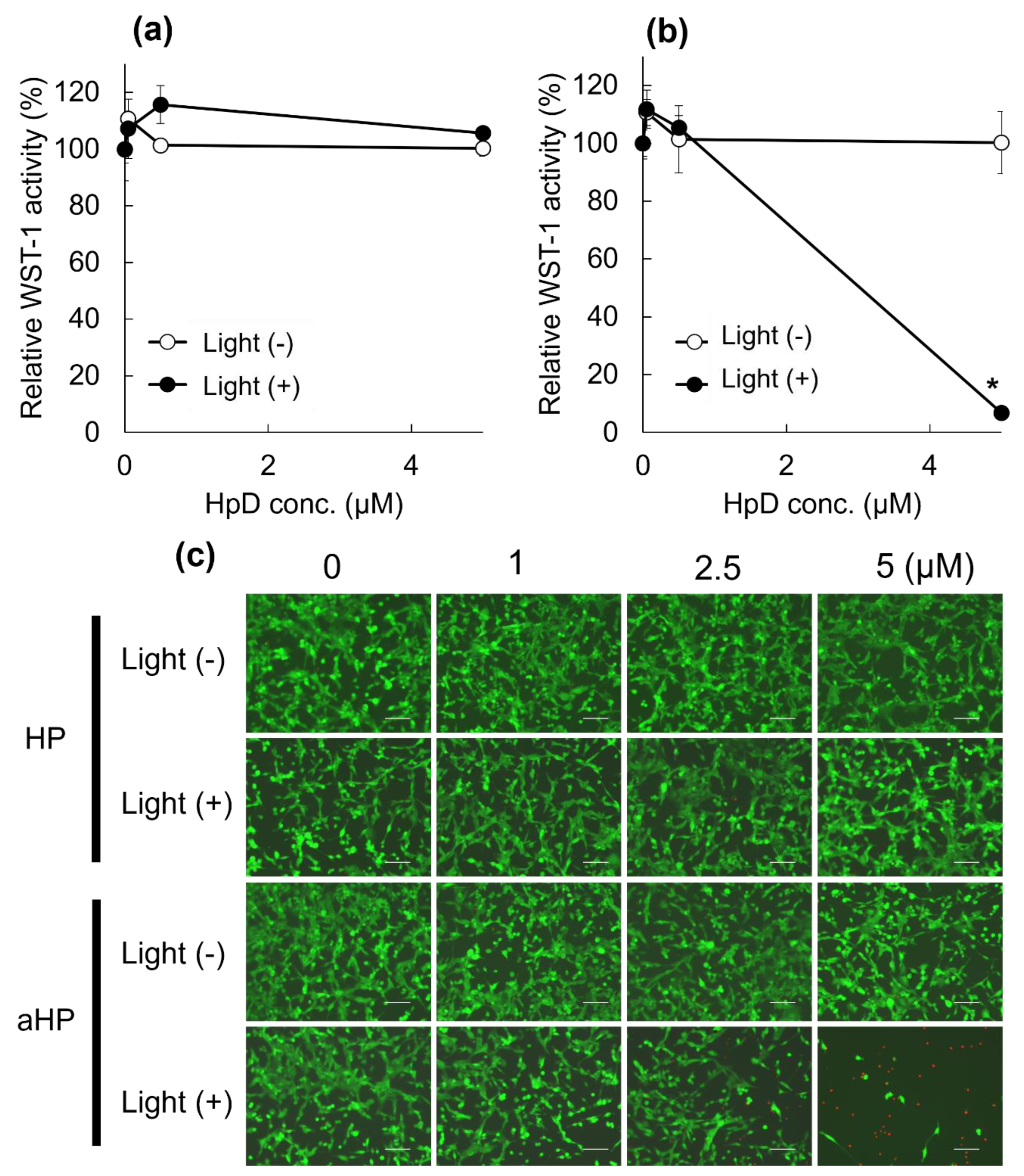 Pharmaceutics 15 02076 g003