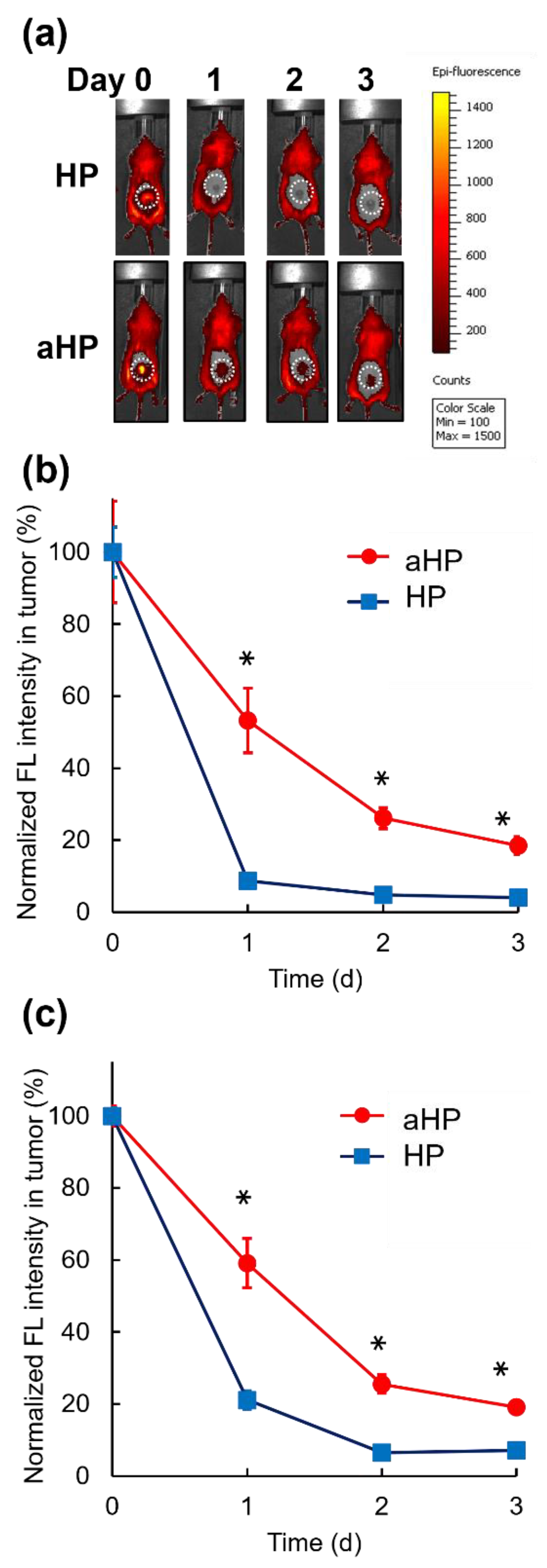 Pharmaceutics 15 02076 g006