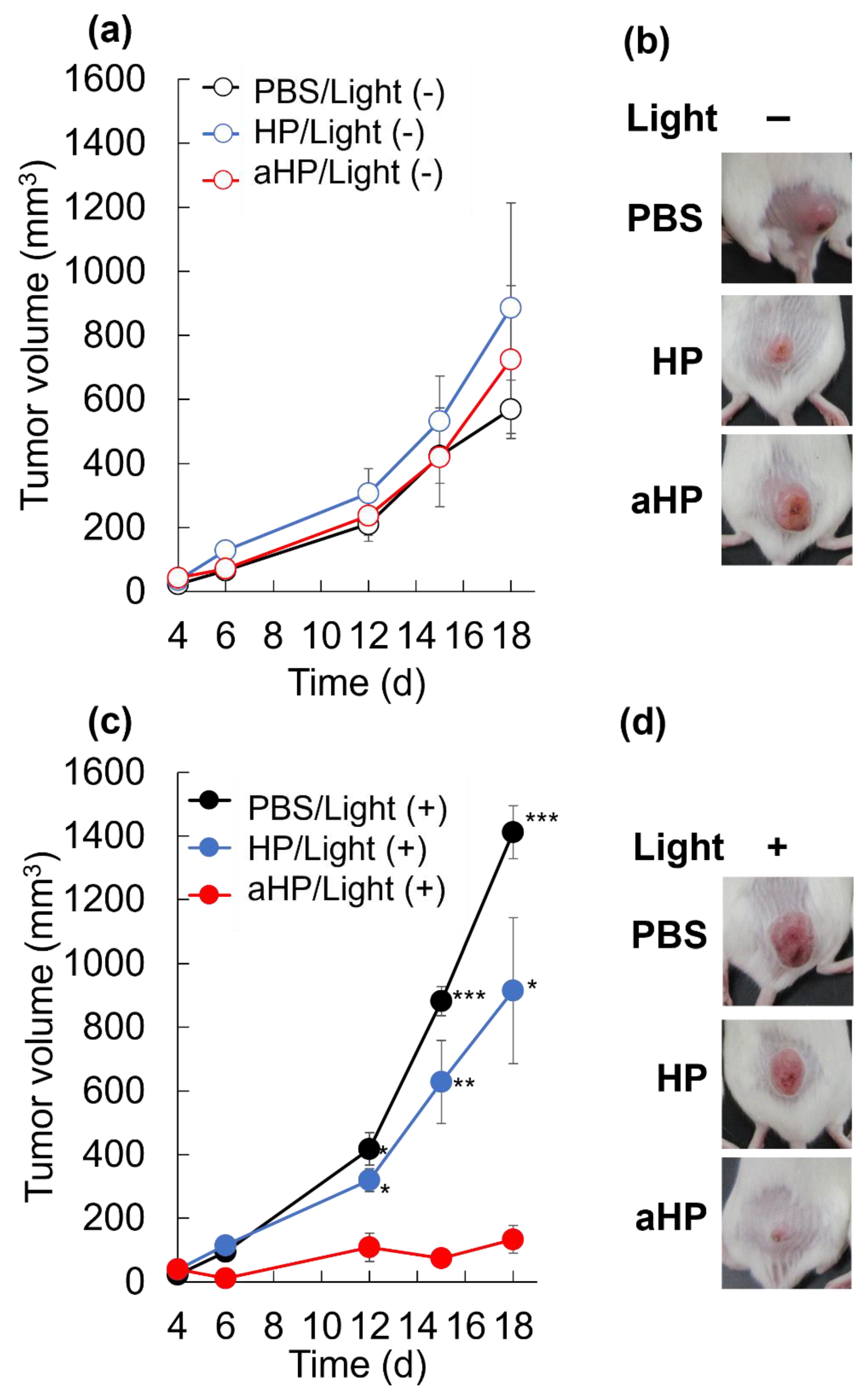 Pharmaceutics 15 02076 g007
