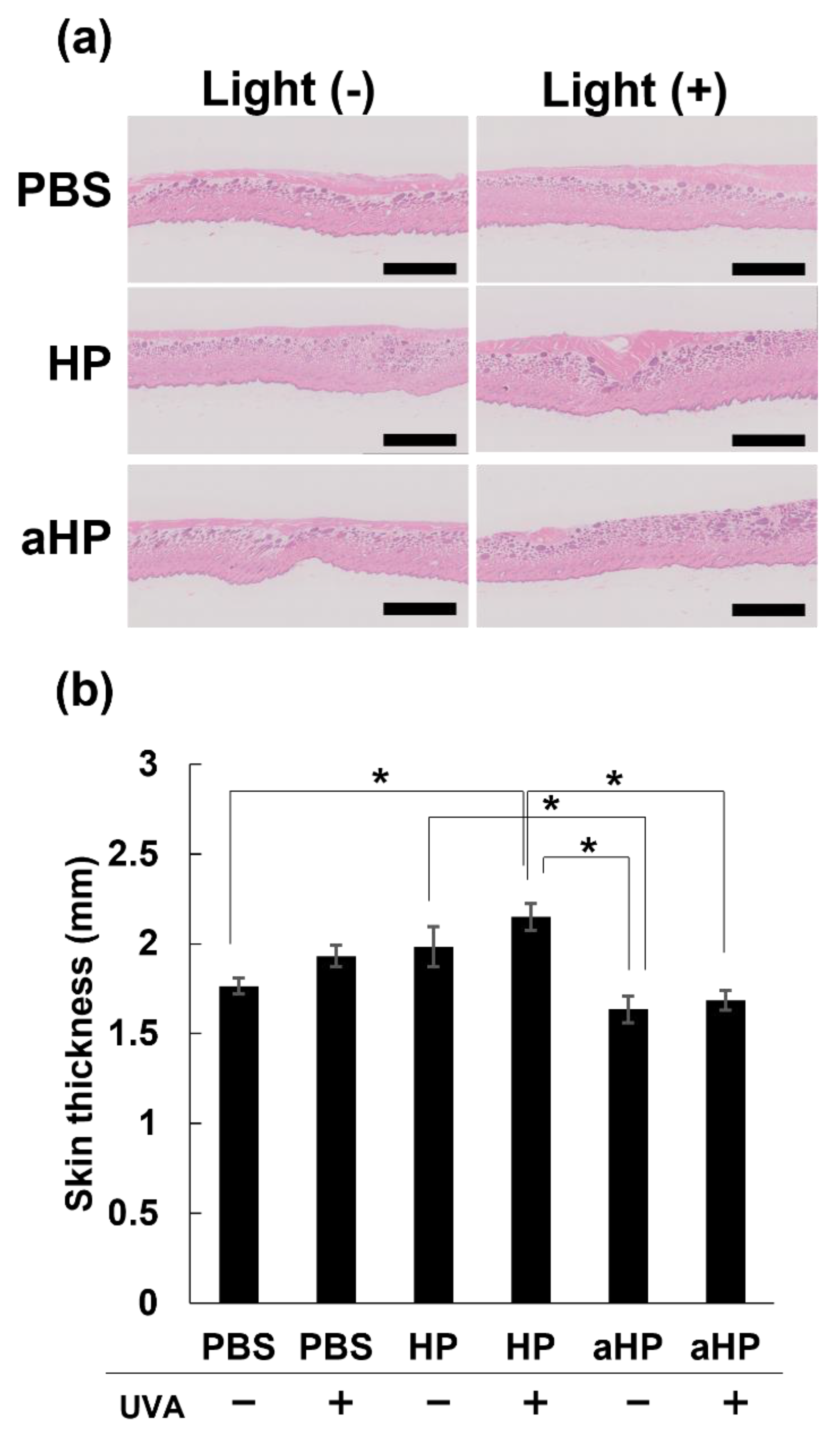 Pharmaceutics 15 02076 g008