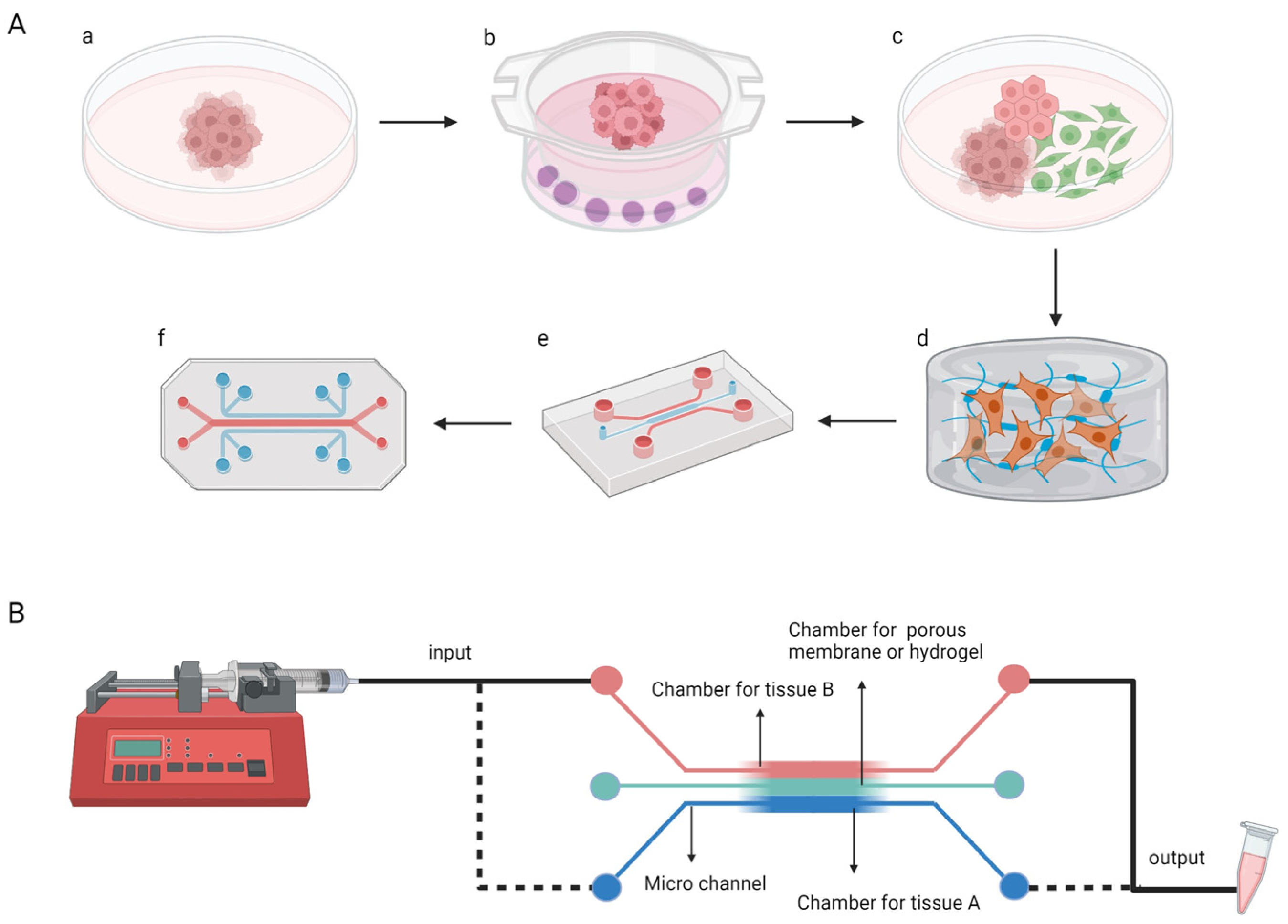Pharmaceutics 15 02094 g001