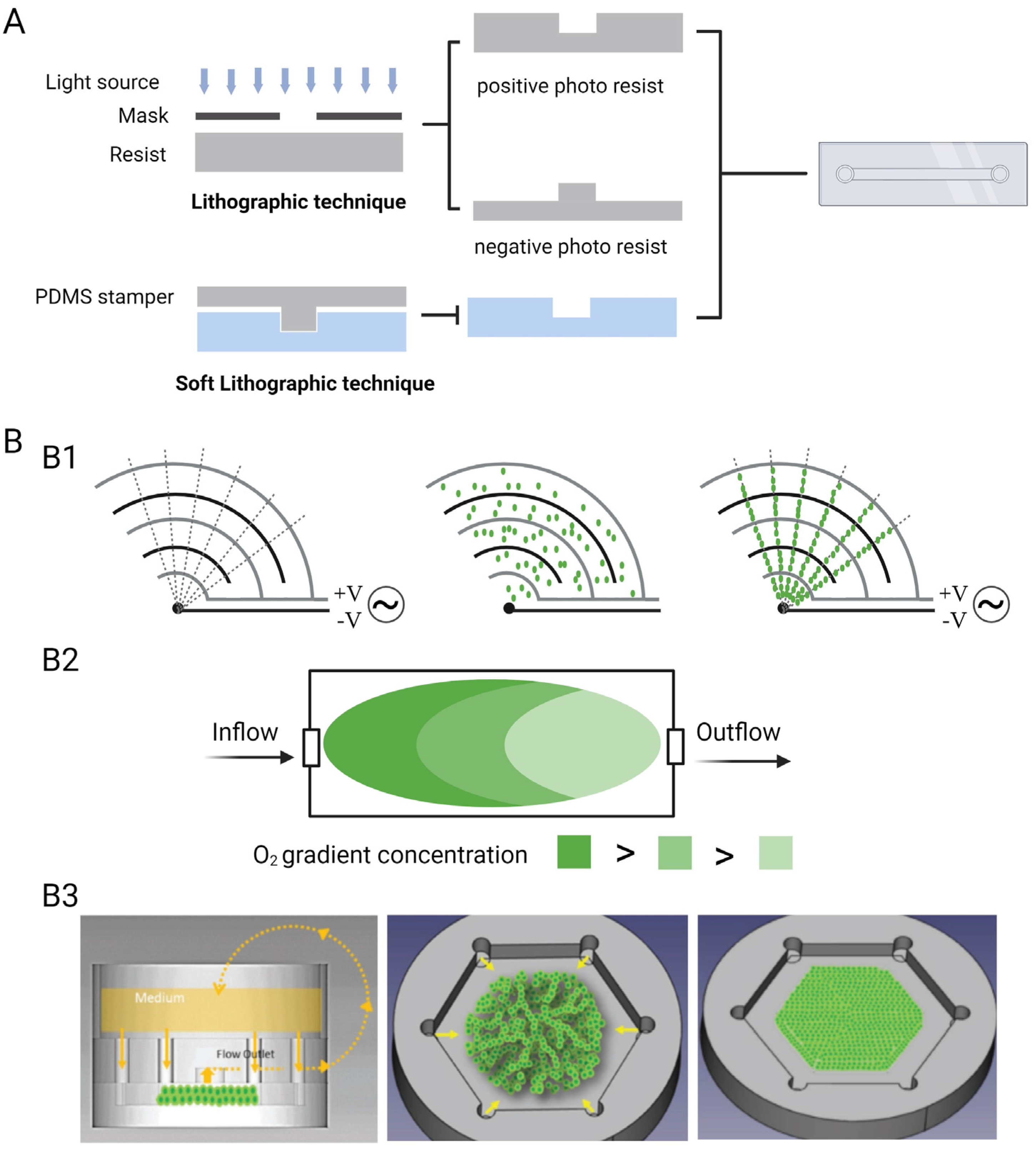 Pharmaceutics 15 02094 g002