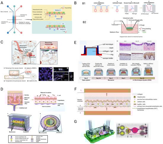 Pharmaceutics 15 02094 g003