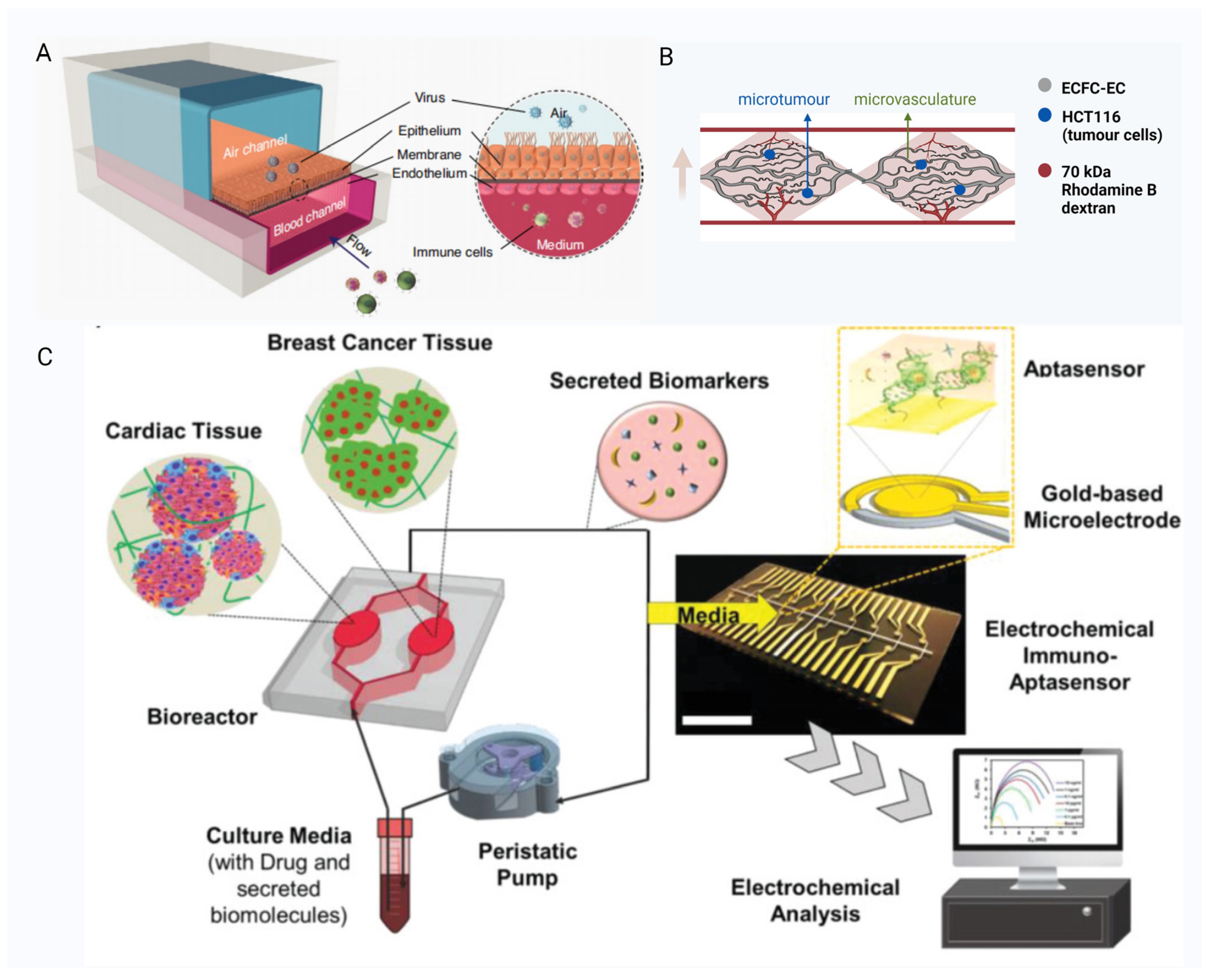 Pharmaceutics 15 02094 g004