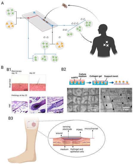 Pharmaceutics 15 02094 g006