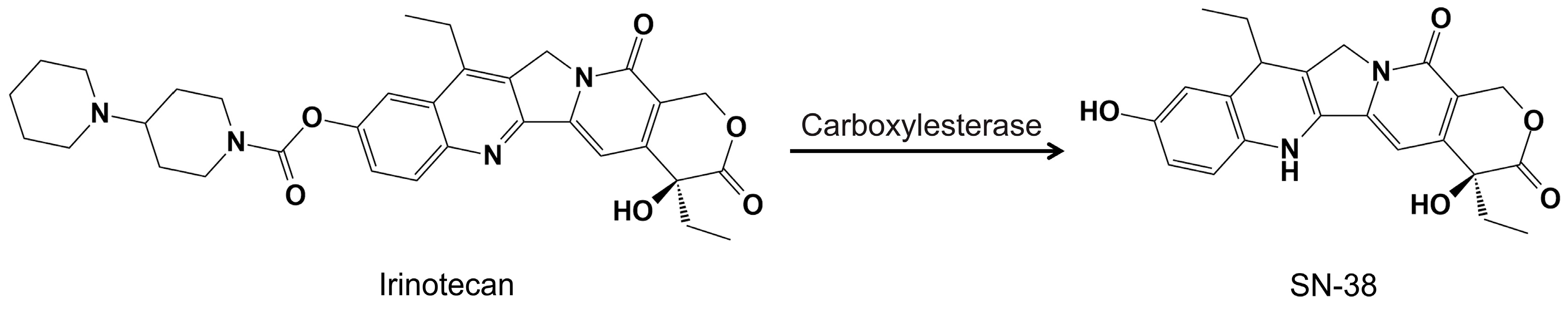 Pharmaceutics 15 02100 g001 Pharmaceutics 15 02100 g001