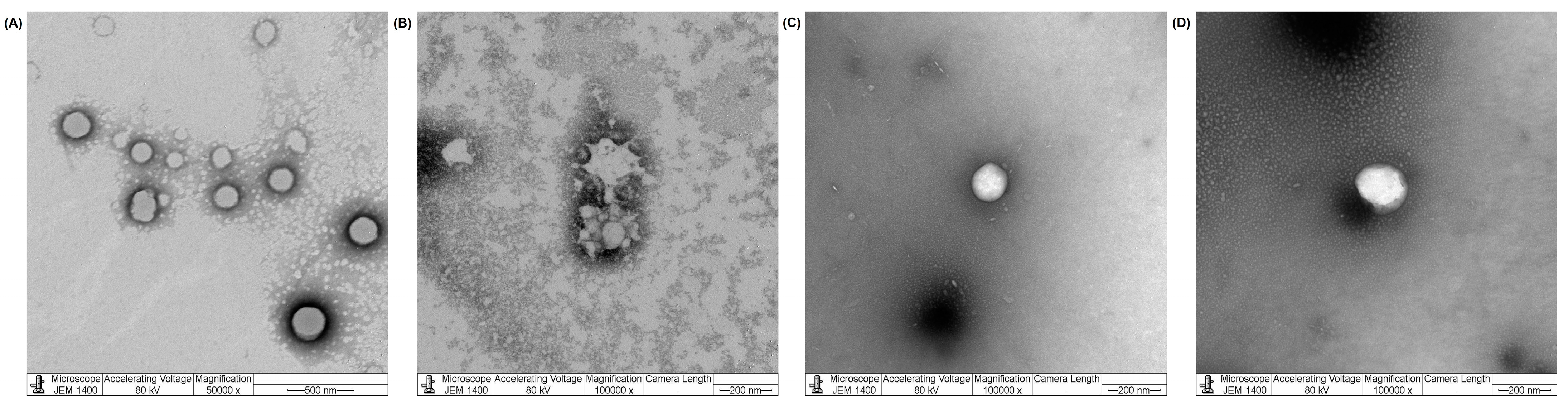 Pharmaceutics 15 02100 g004 Pharmaceutics 15 02100 g004