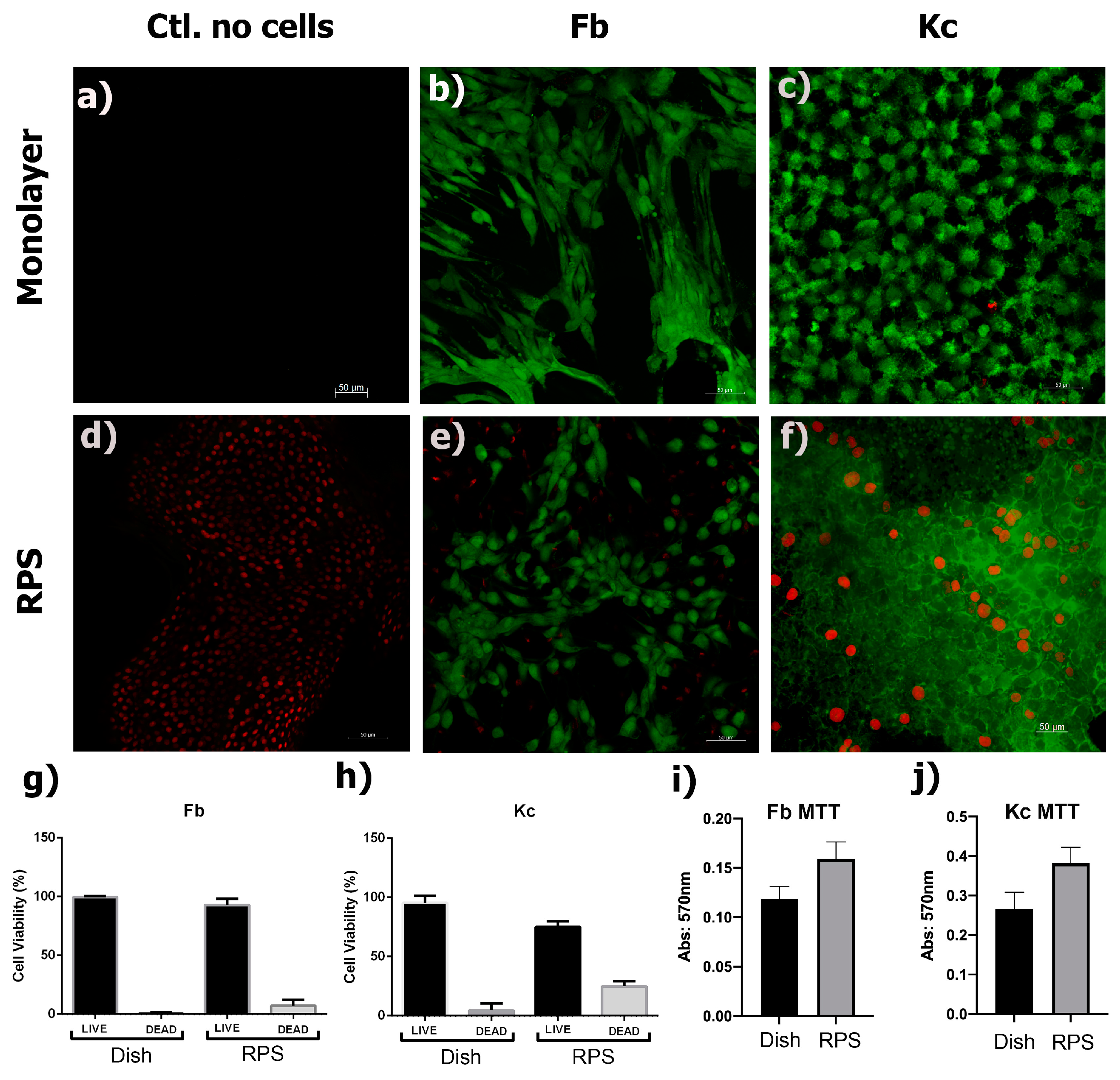 Pharmaceutics 15 02105 g002
