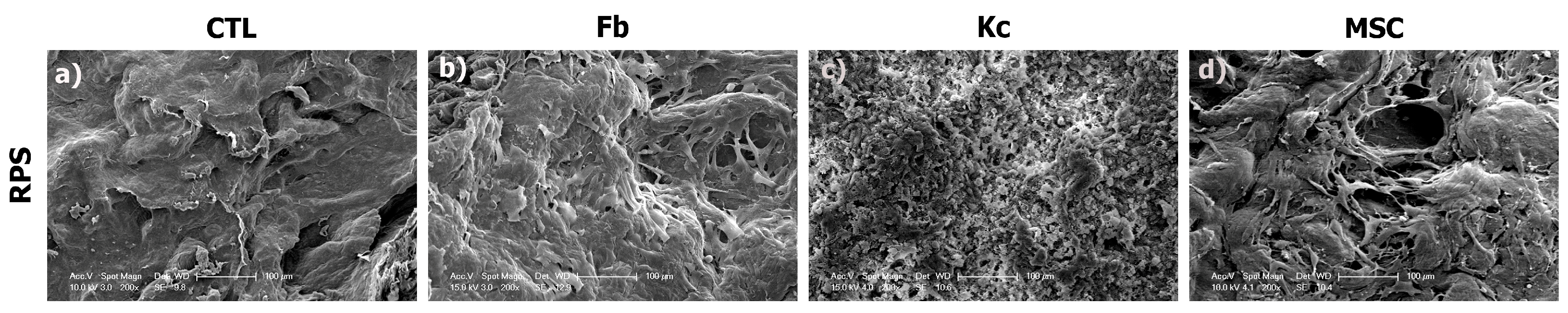 Pharmaceutics 15 02105 g003
