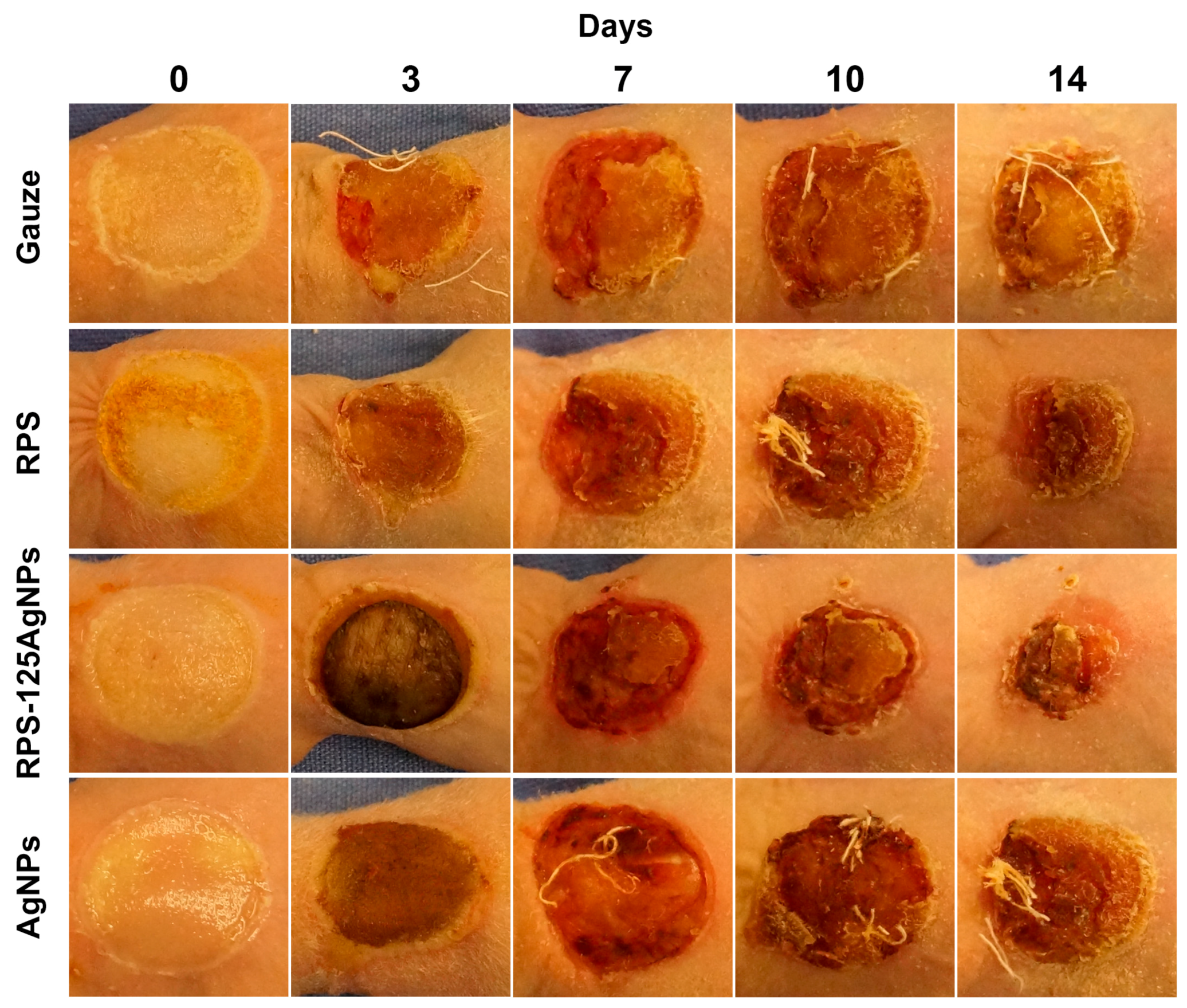 Pharmaceutics 15 02105 g005