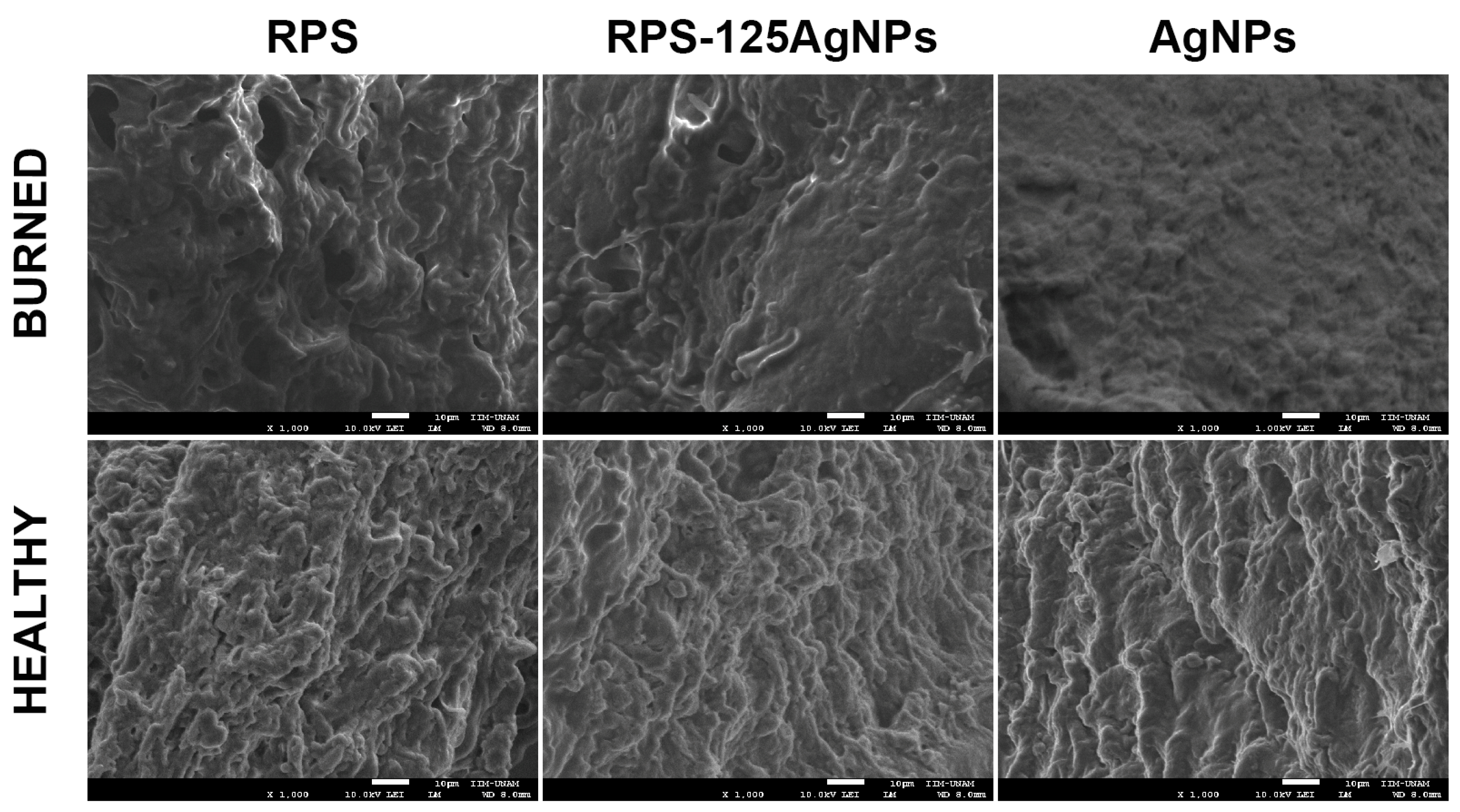 Pharmaceutics 15 02105 g007