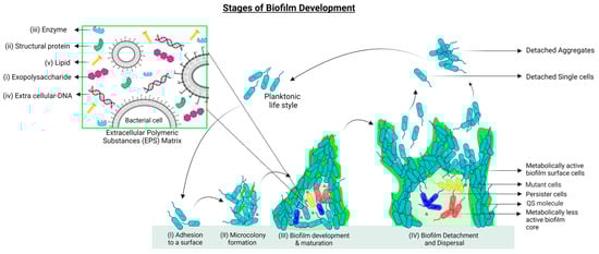 Pharmaceutics 15 02106 g001