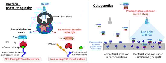 Pharmaceutics 15 02106 g003