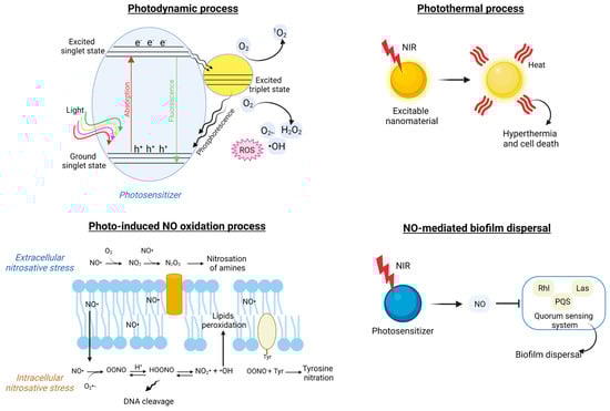 Pharmaceutics 15 02106 g007