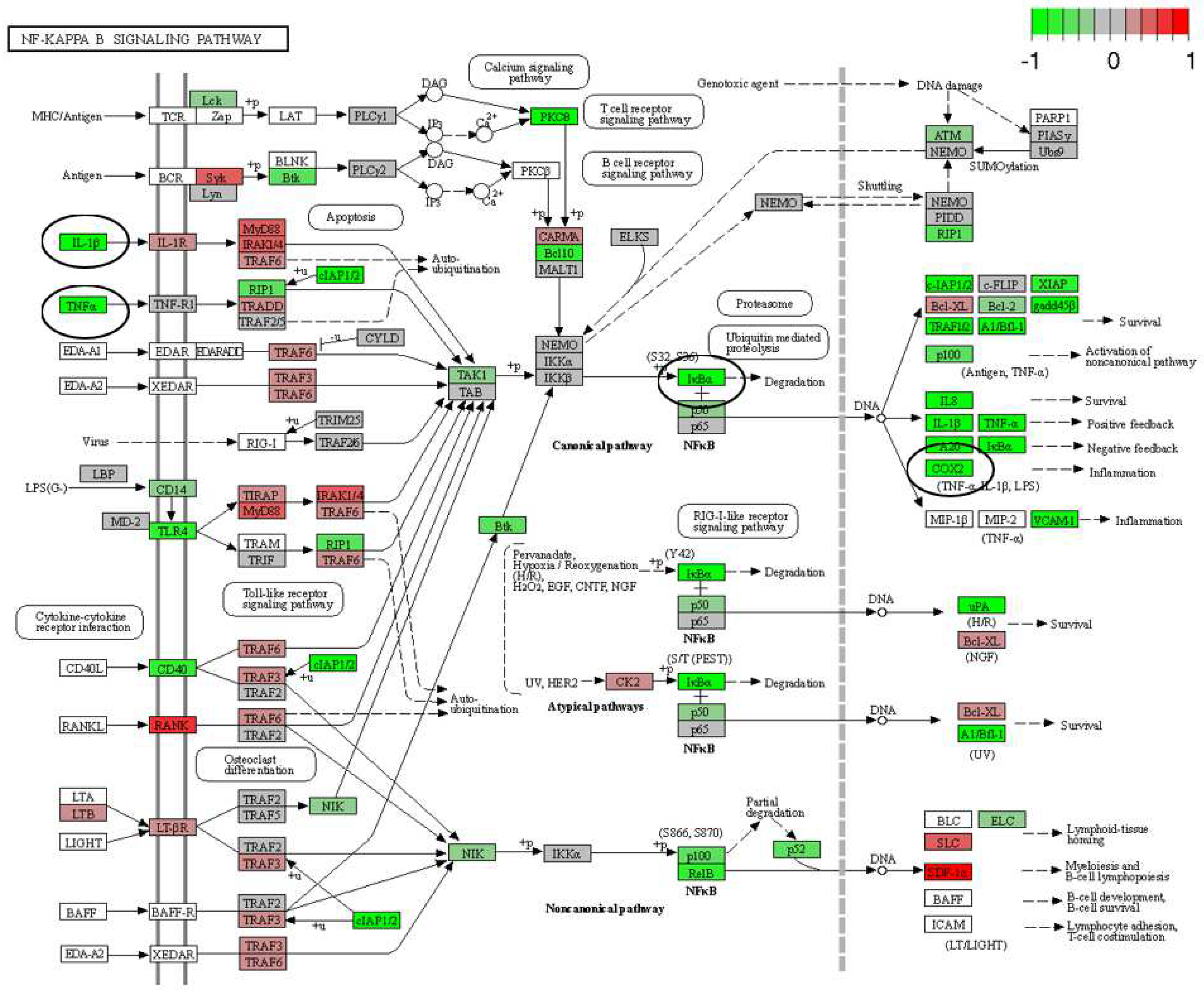 Pharmaceutics 15 02107 g007