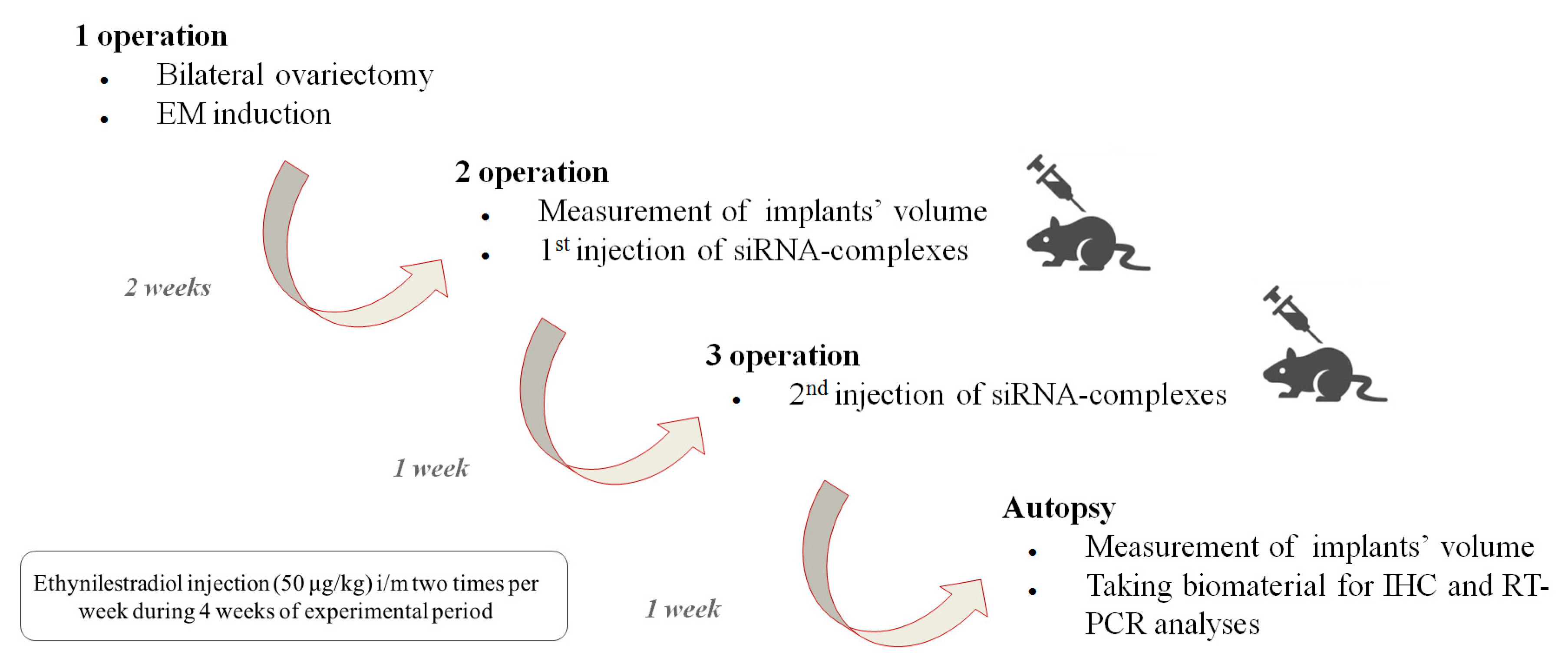 Pharmaceutics 15 02108 g007