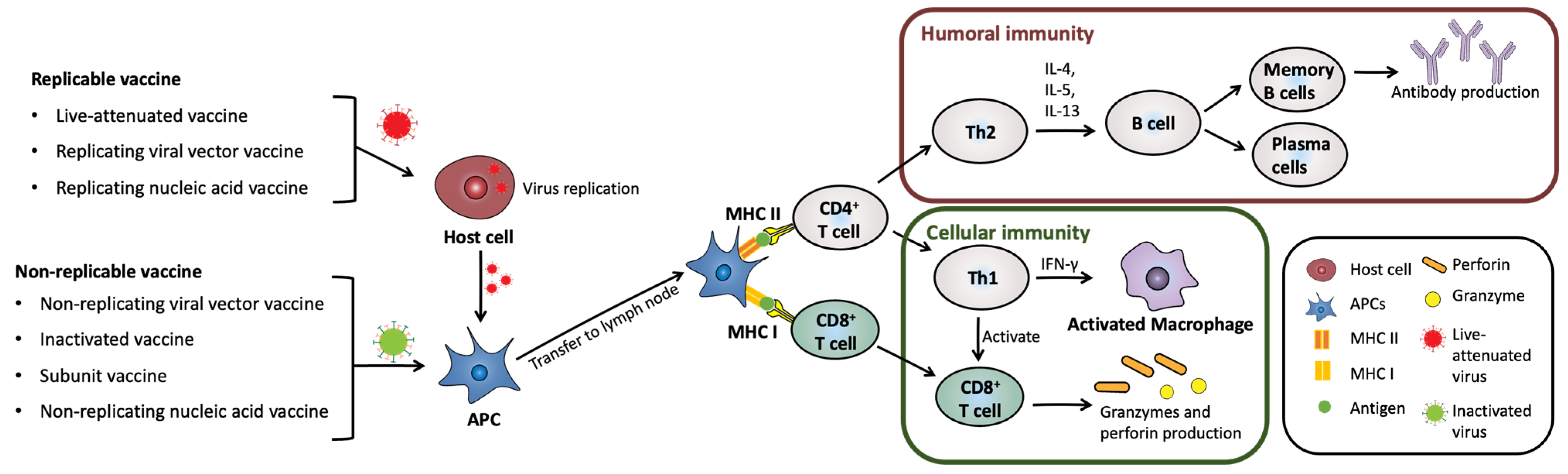Pharmaceutics 15 02114 g002