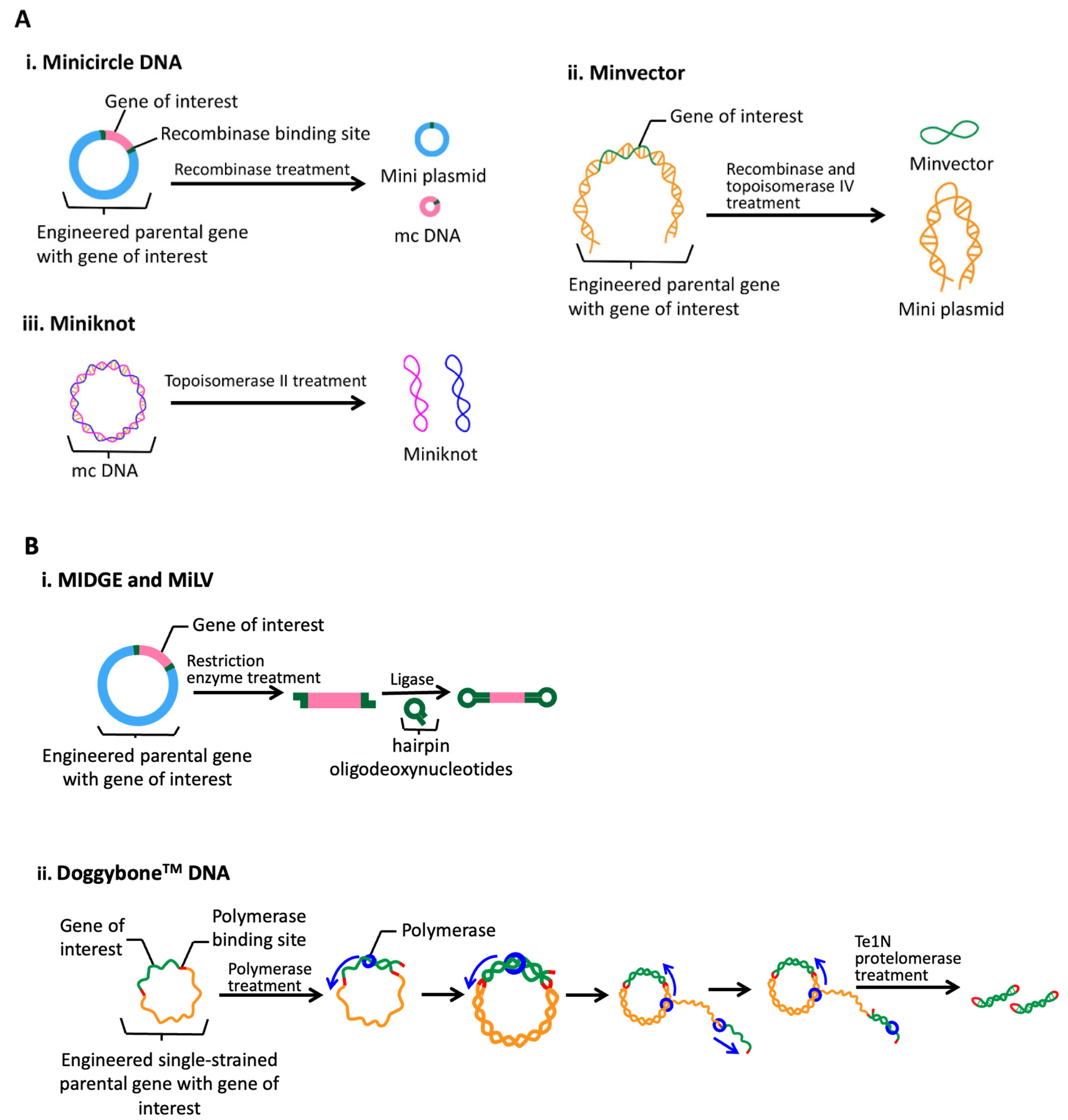 Pharmaceutics 15 02114 g003
