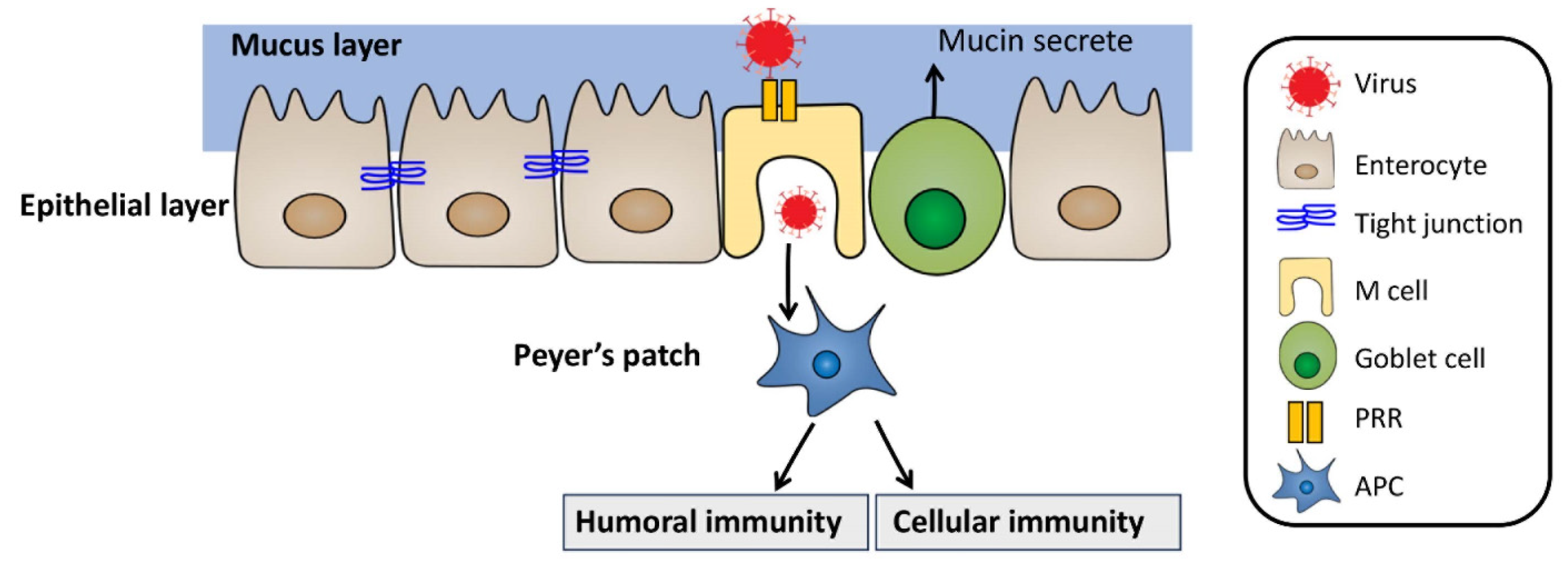 Pharmaceutics 15 02114 g004