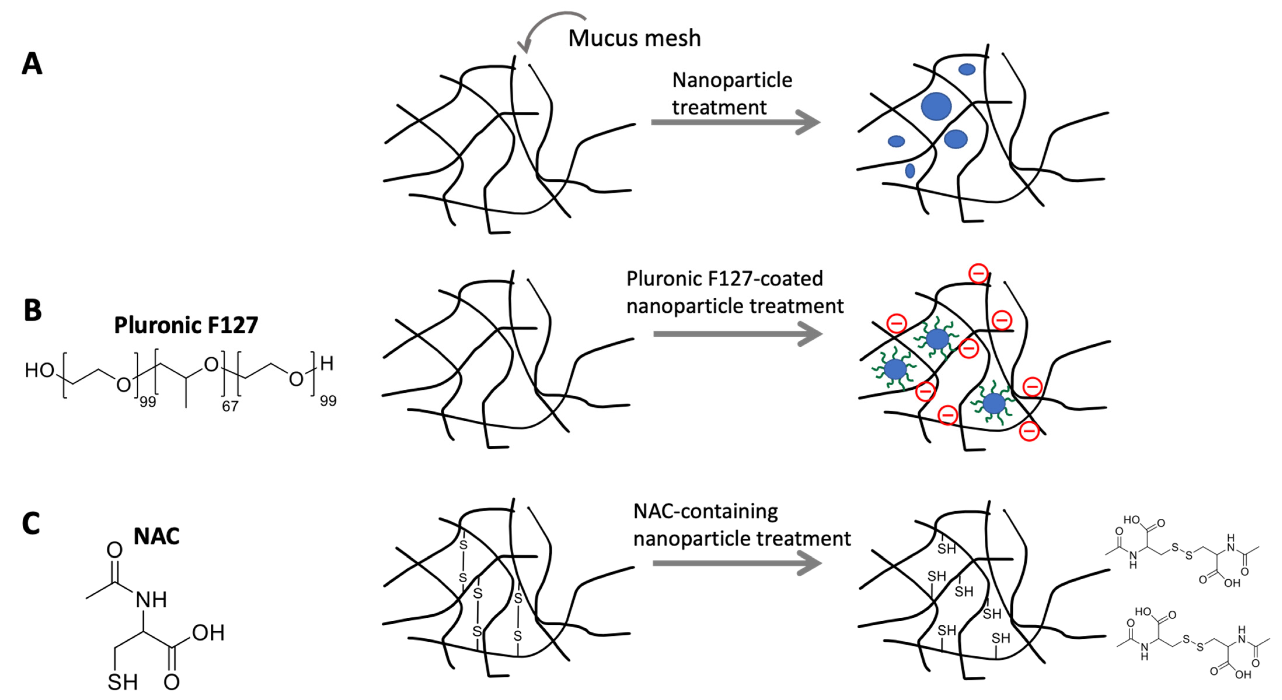 Pharmaceutics 15 02114 g005
