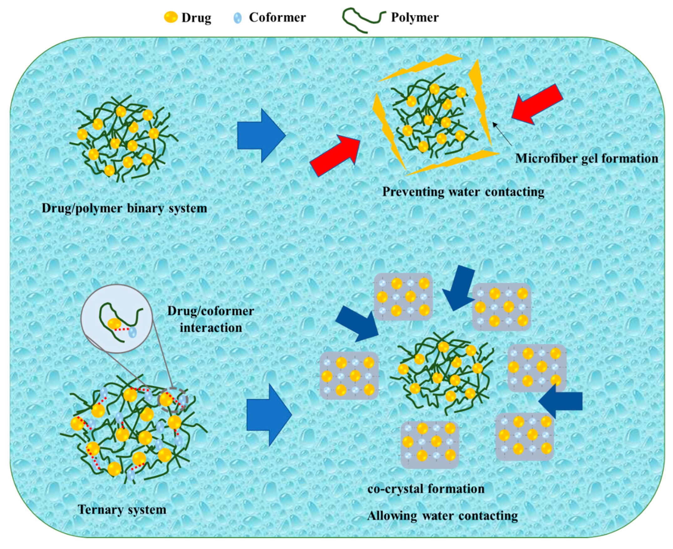 Pharmaceutics 15 02116 g005