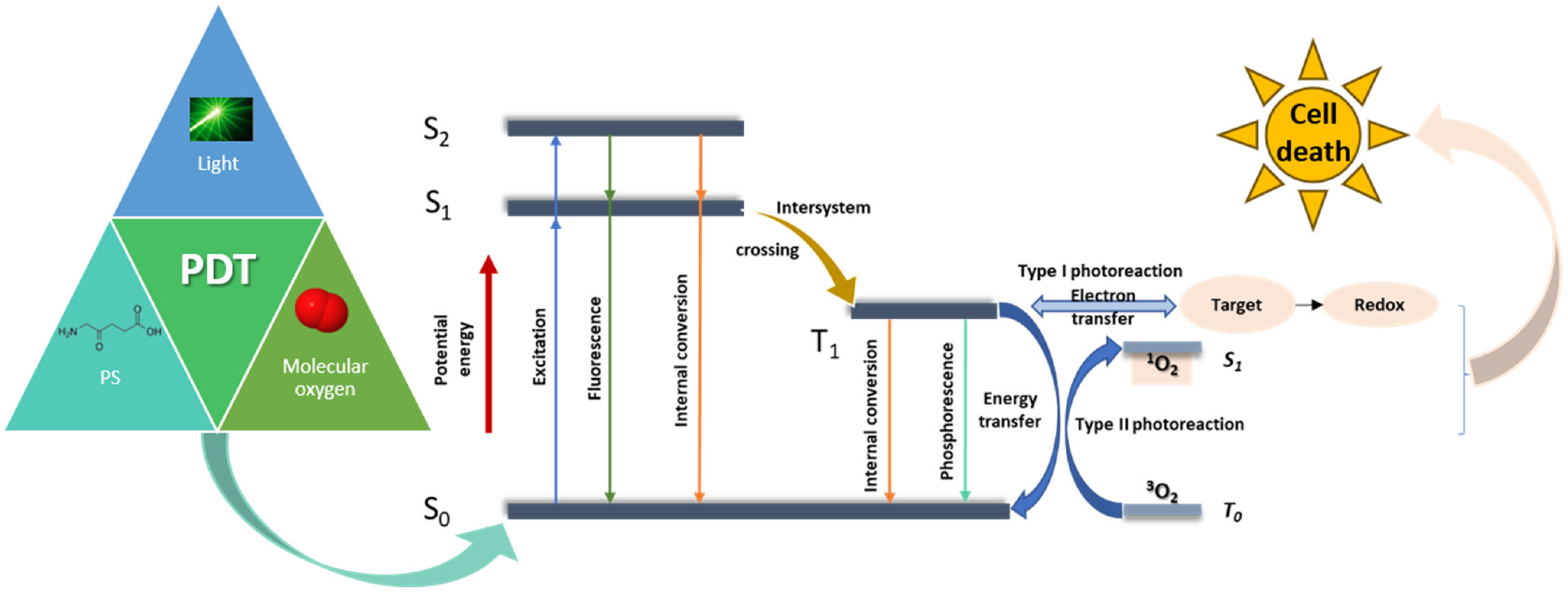 Pharmaceutics 15 02124 g001 Pharmaceutics 15 02124 g001
