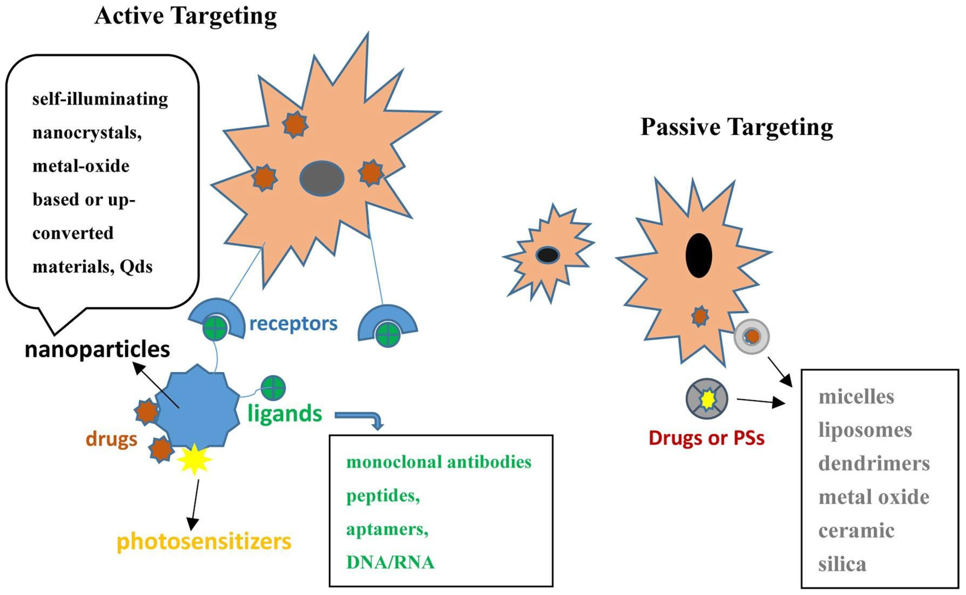 Pharmaceutics 15 02124 g003 Pharmaceutics 15 02124 g003