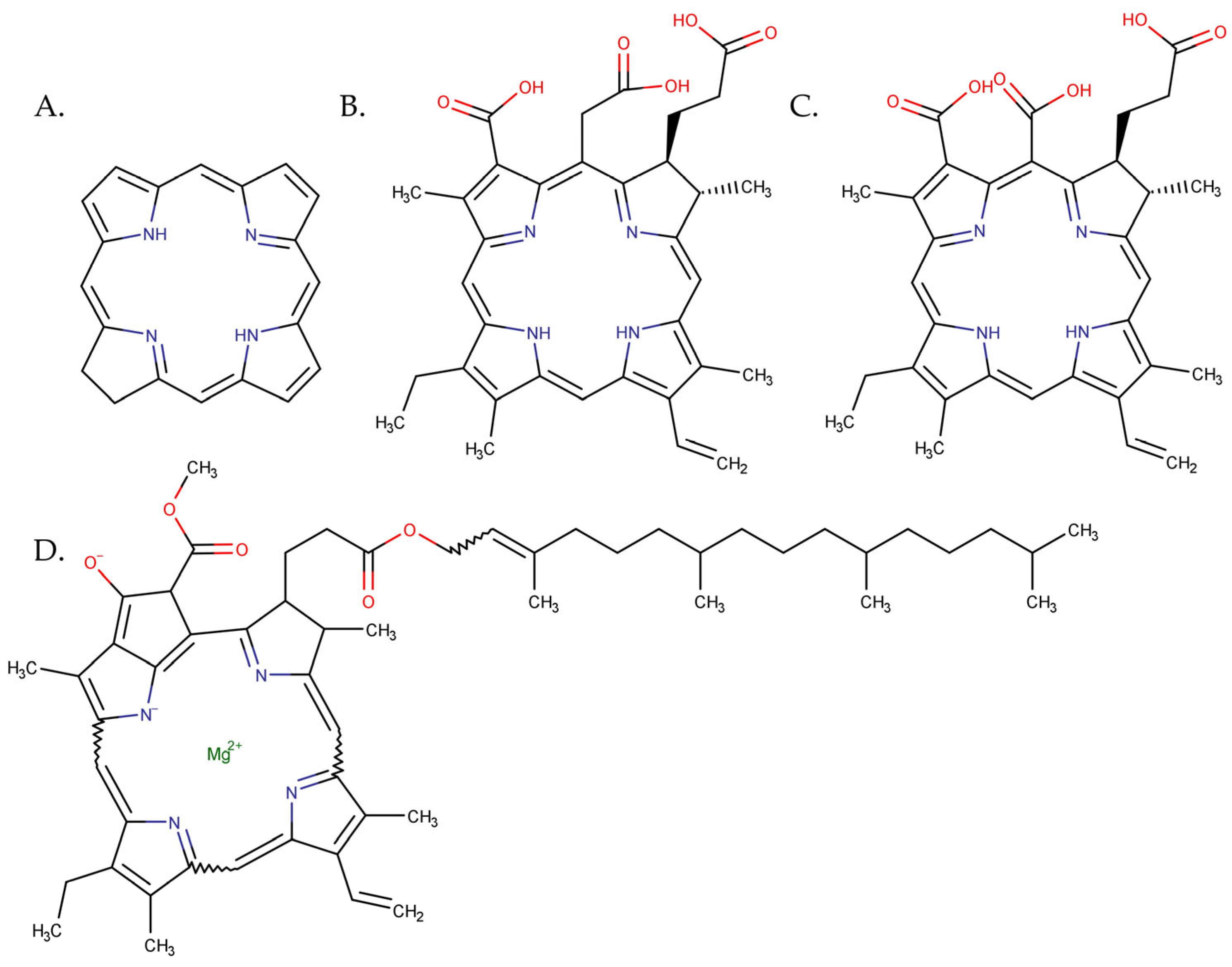 Pharmaceutics 15 02124 g007 Pharmaceutics 15 02124 g007