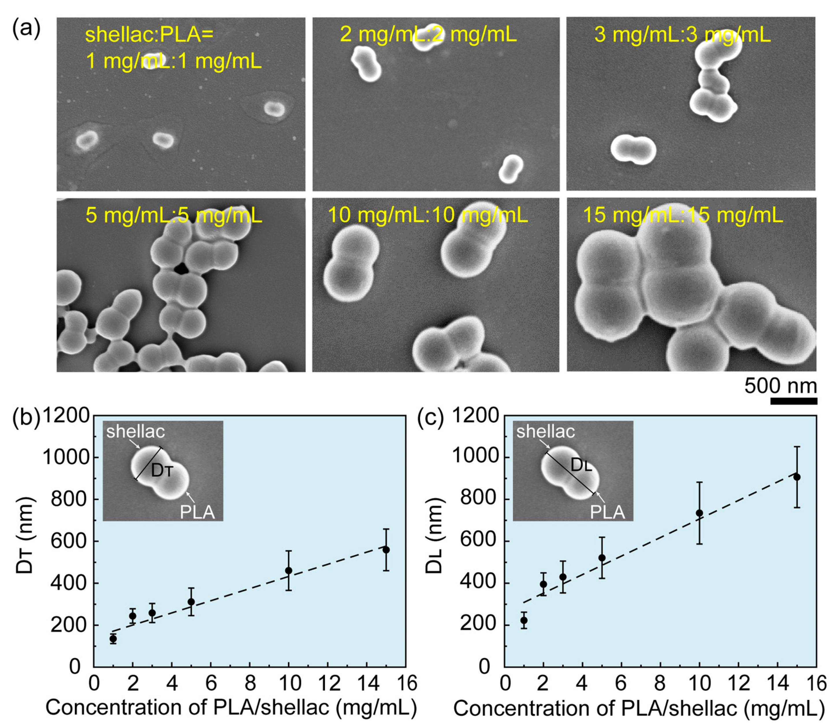 Pharmaceutics 15 02132 g002 Pharmaceutics 15 02132 g002