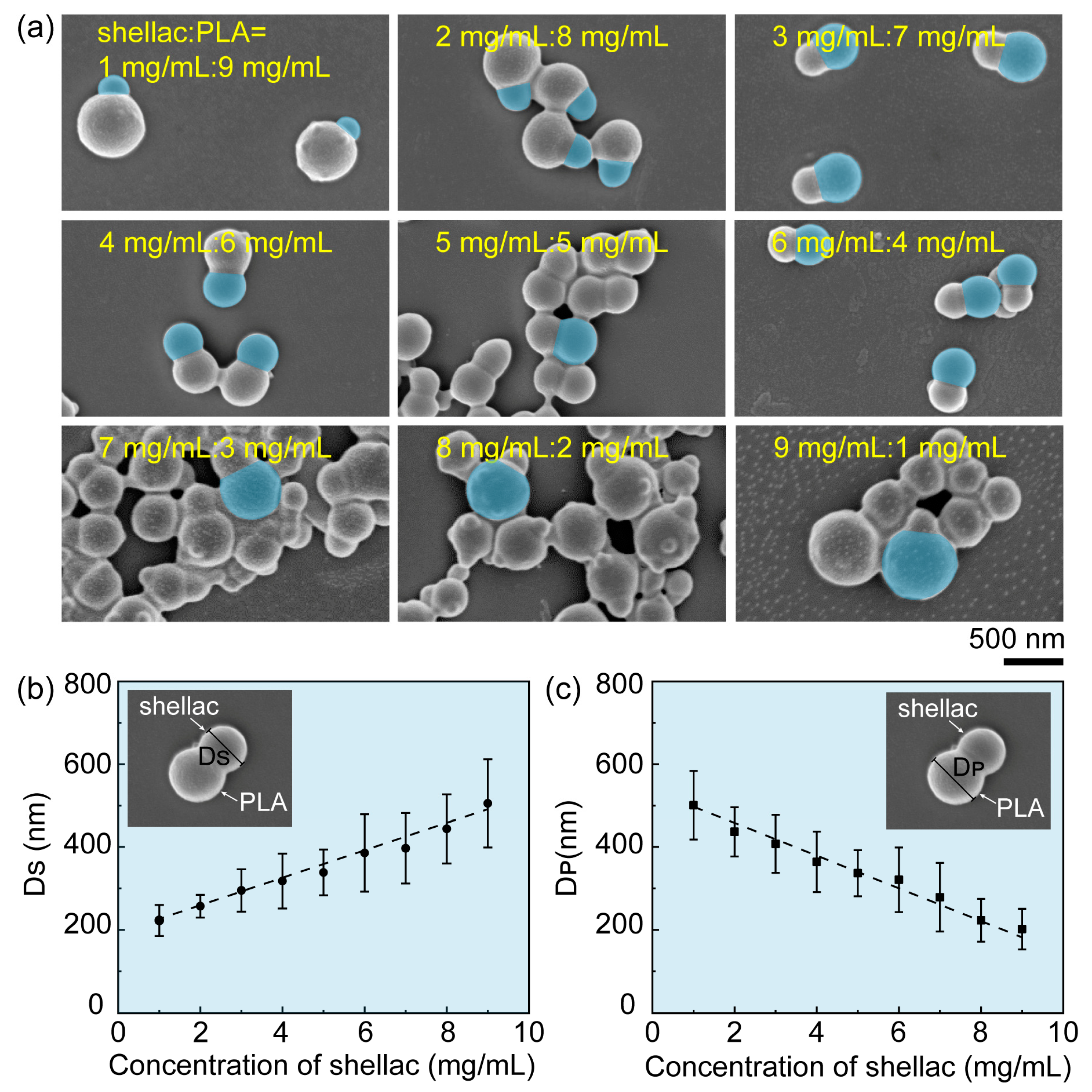Pharmaceutics 15 02132 g003 Pharmaceutics 15 02132 g003