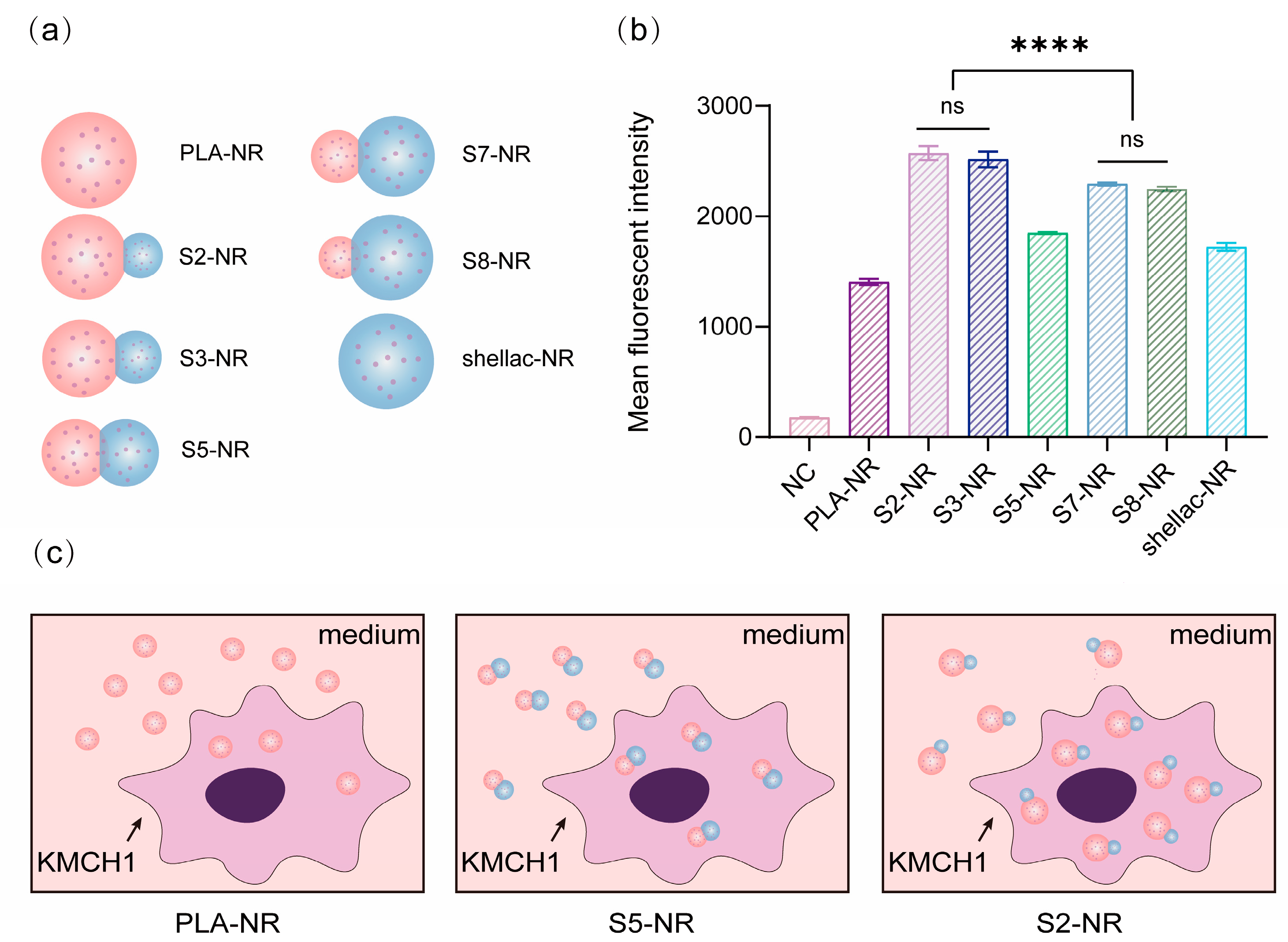 Pharmaceutics 15 02132 g006 Pharmaceutics 15 02132 g006