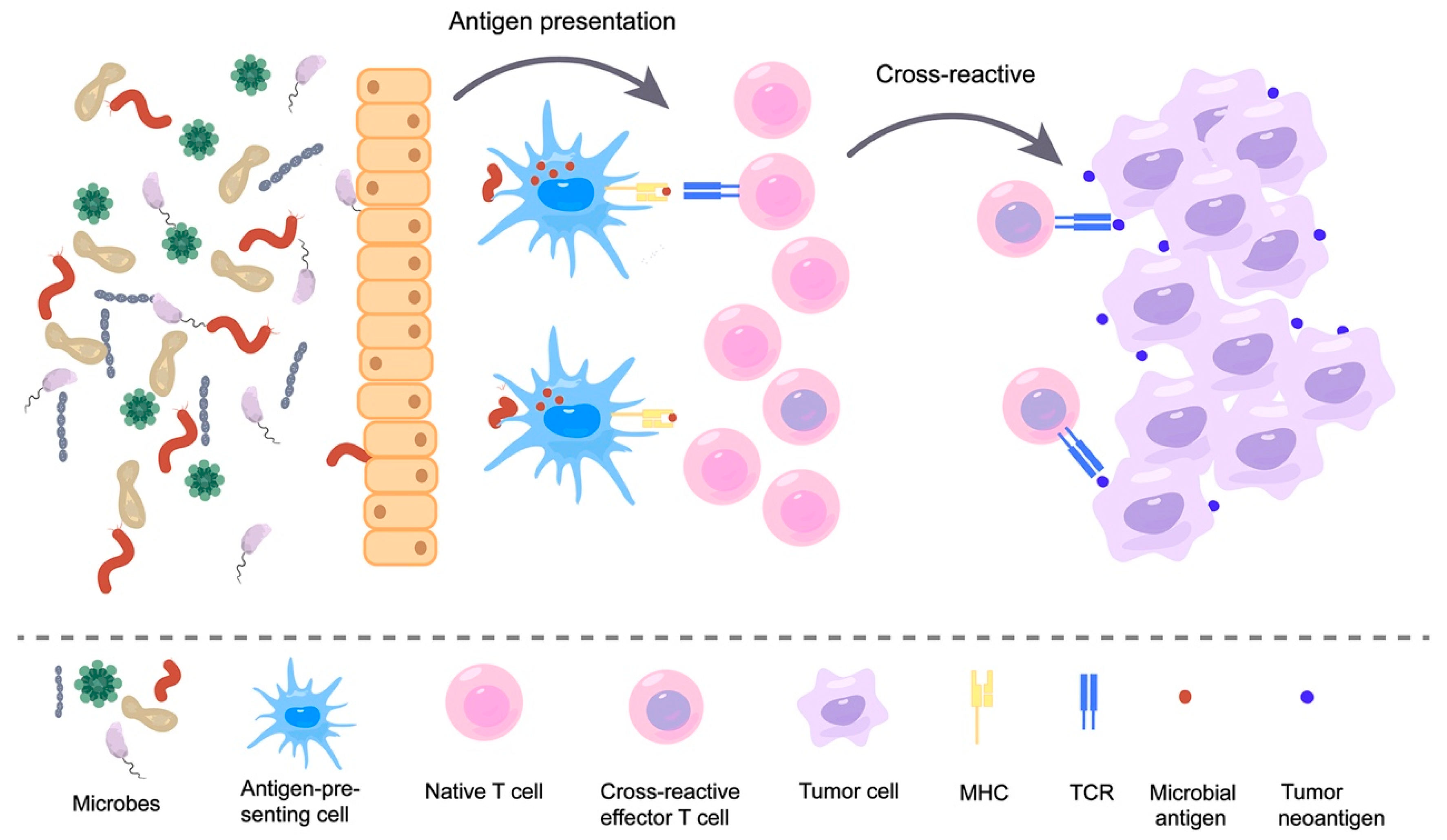 Pharmaceutics 15 02138 g002