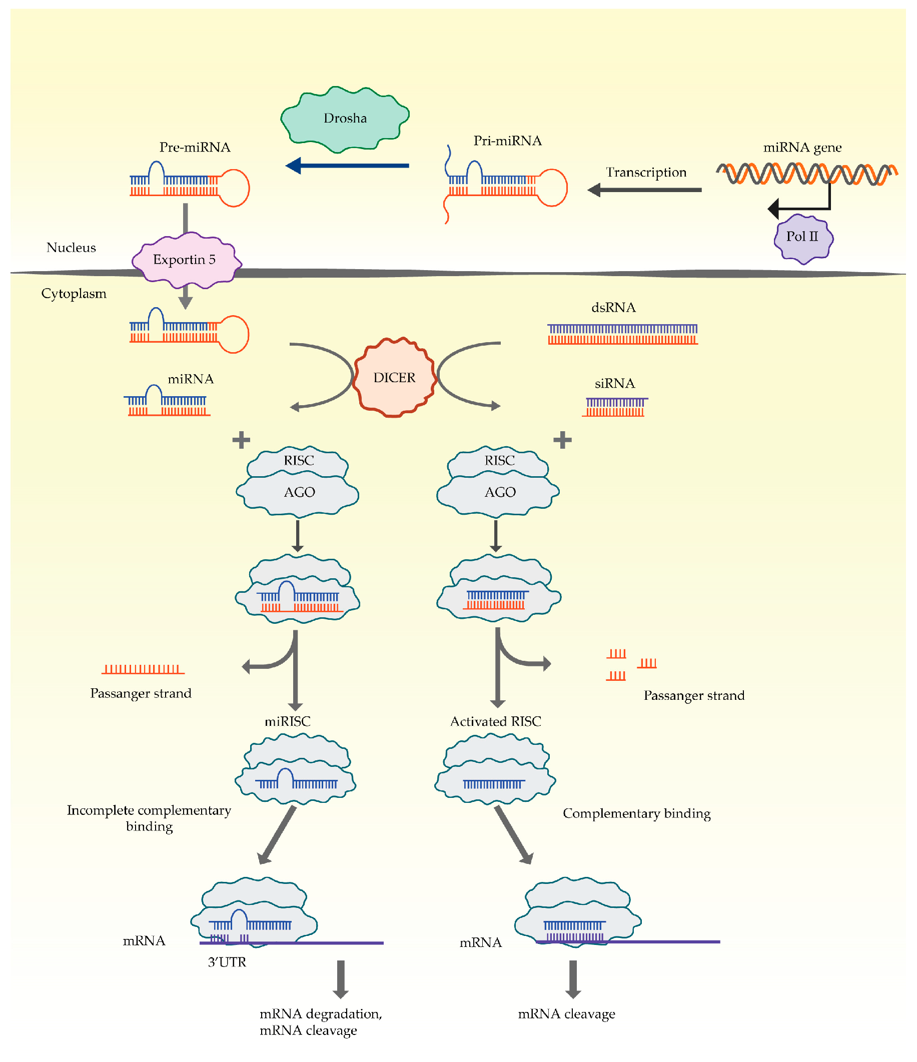 Pharmaceutics 15 02141 g001