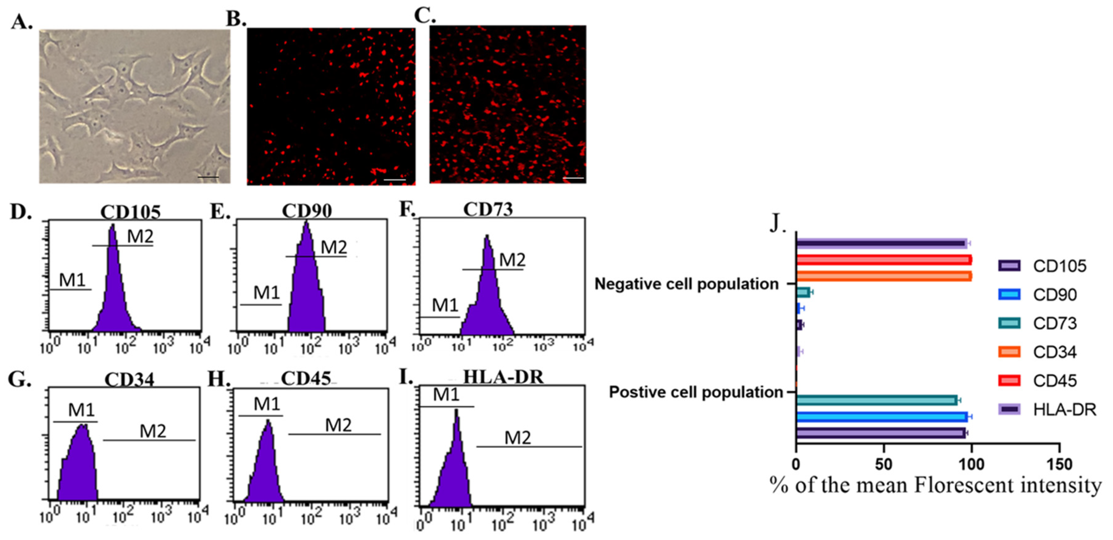 Pharmaceutics 15 02149 g001 Pharmaceutics 15 02149 g001
