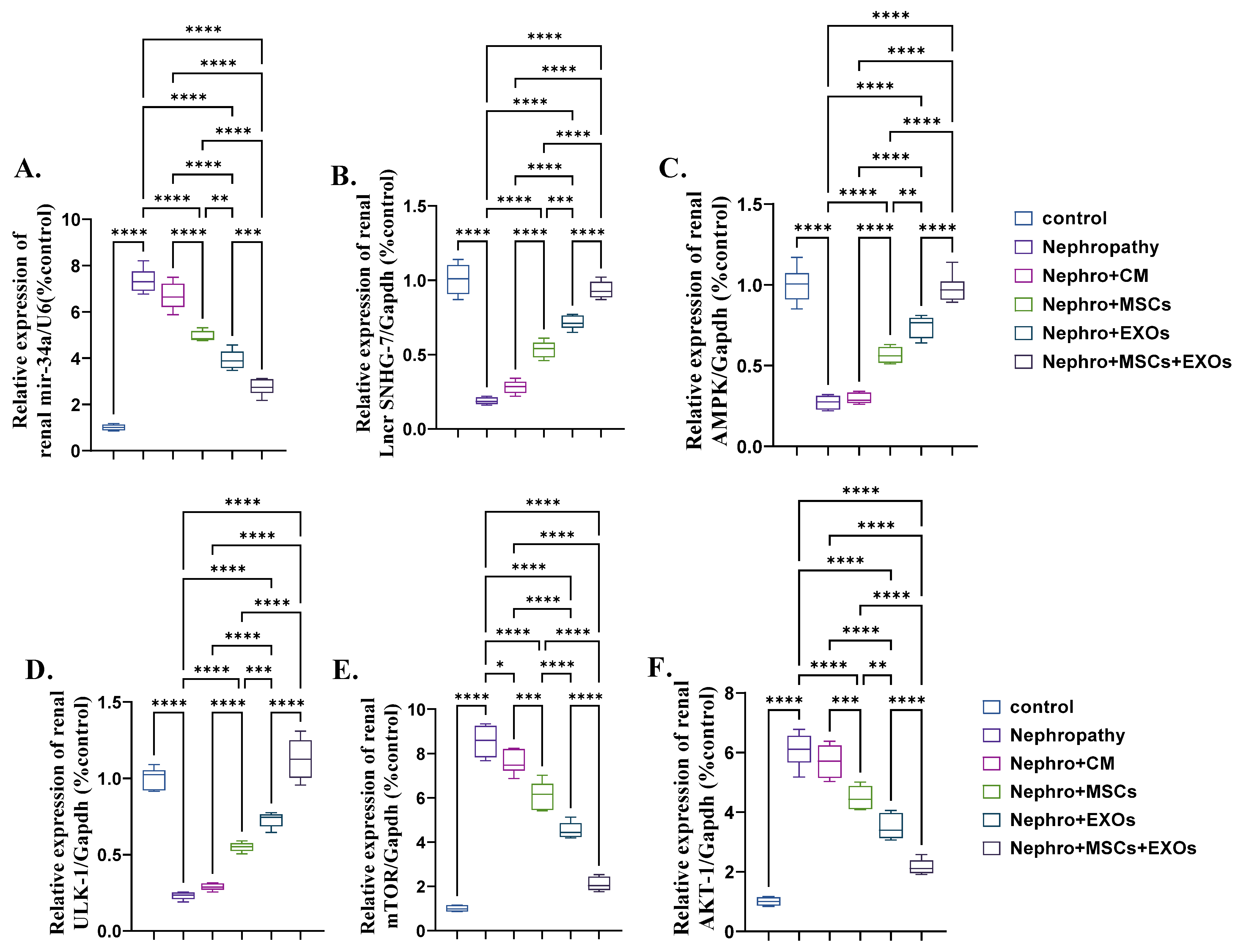 Pharmaceutics 15 02149 g005 Pharmaceutics 15 02149 g005