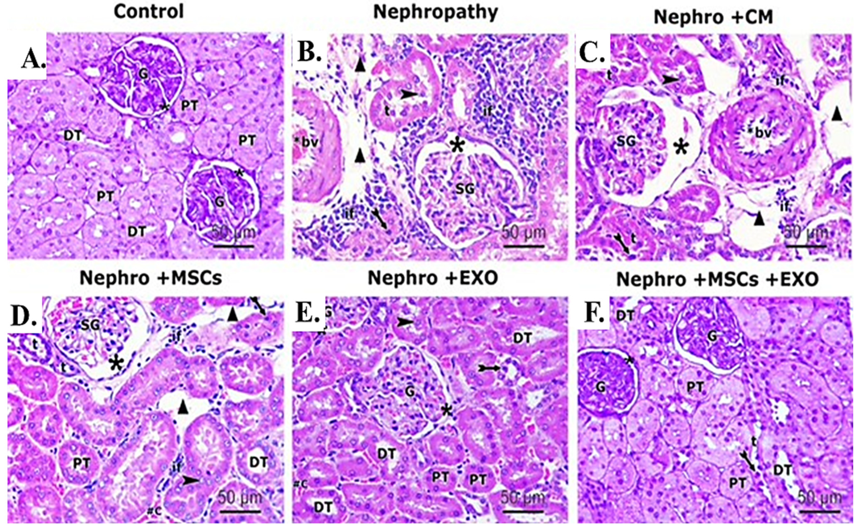 Pharmaceutics 15 02149 g006 Pharmaceutics 15 02149 g006