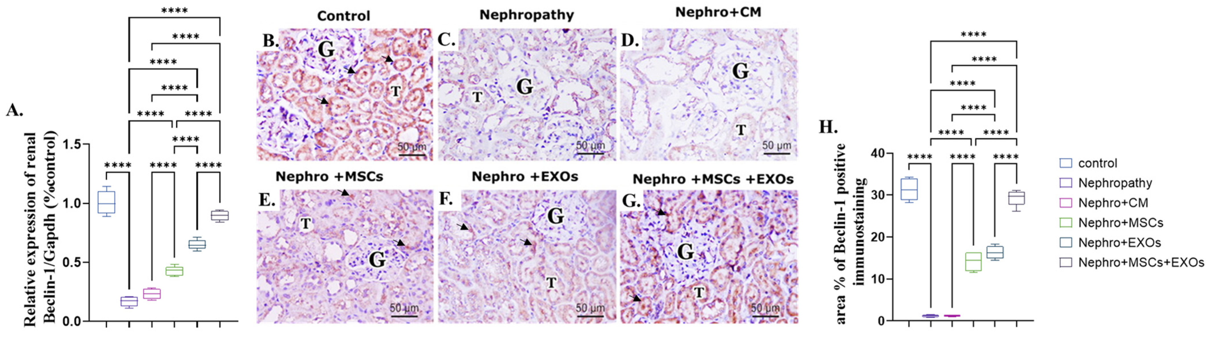 Pharmaceutics 15 02149 g007 Pharmaceutics 15 02149 g007