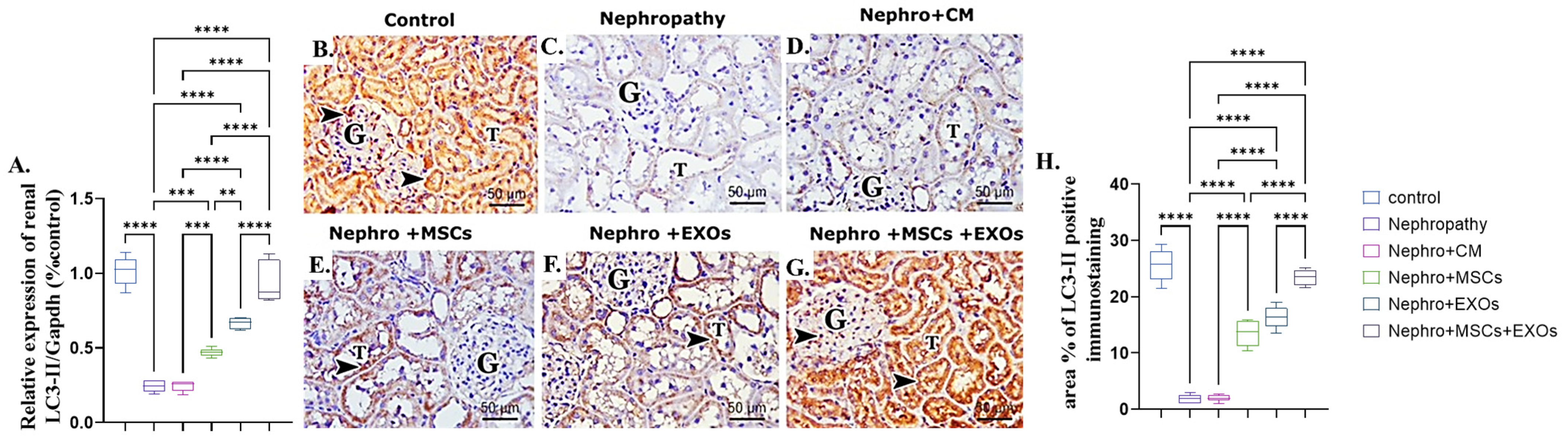 Pharmaceutics 15 02149 g008 Pharmaceutics 15 02149 g008