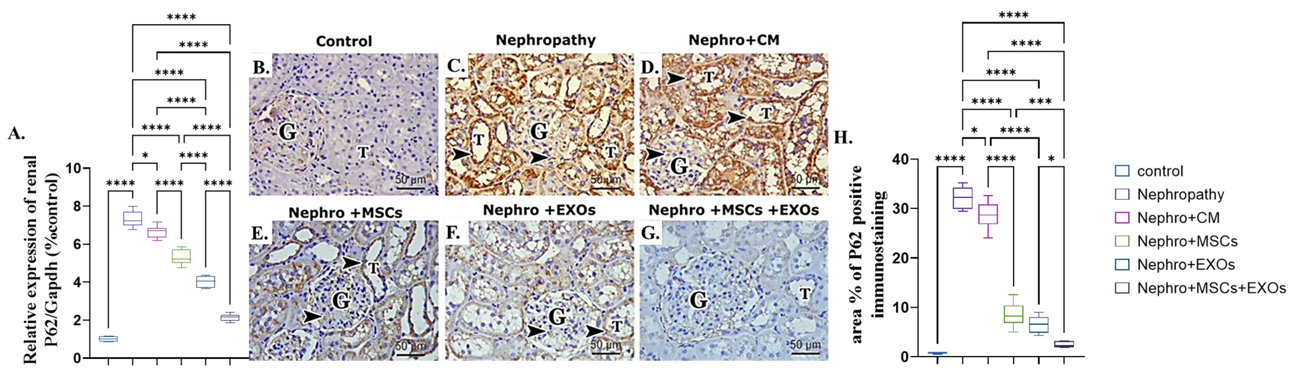 Pharmaceutics 15 02149 g009 Pharmaceutics 15 02149 g009