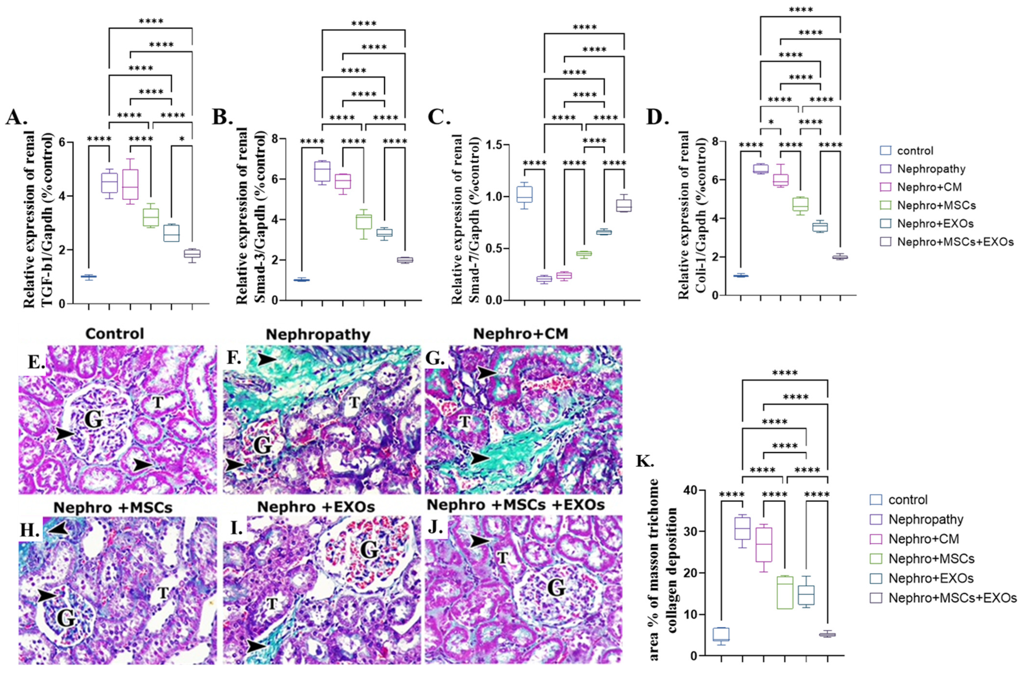 Pharmaceutics 15 02149 g011 Pharmaceutics 15 02149 g011