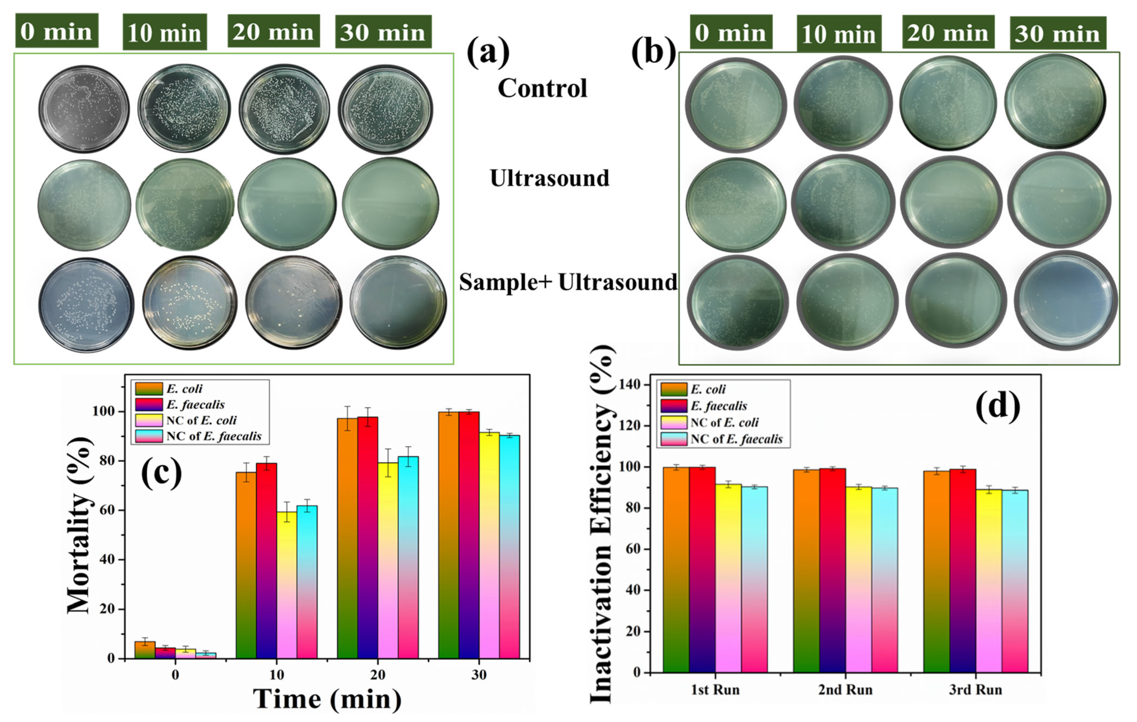 Pharmaceutics 15 02155 g007 Pharmaceutics 15 02155 g007