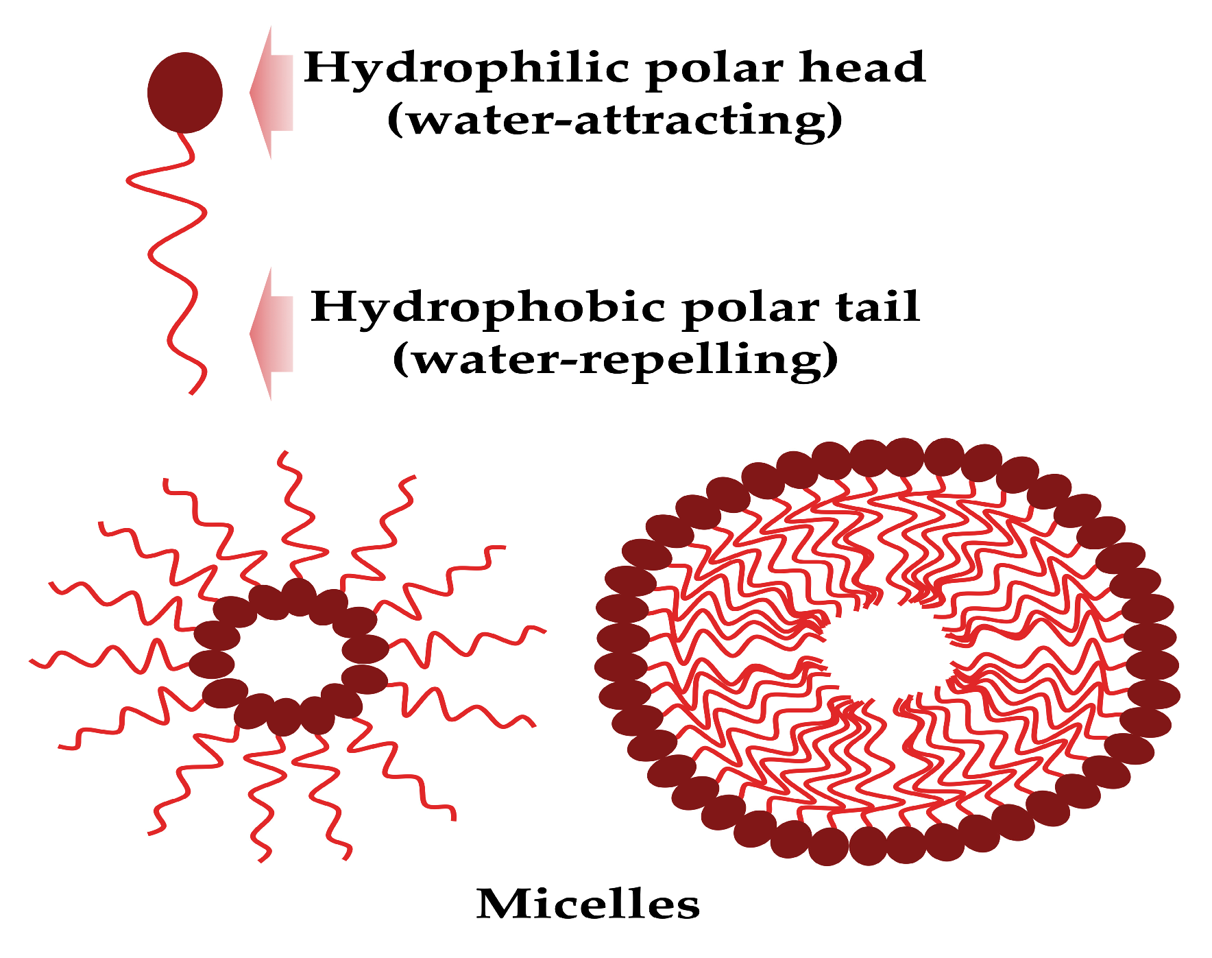 Pharmaceutics 15 02156 g001