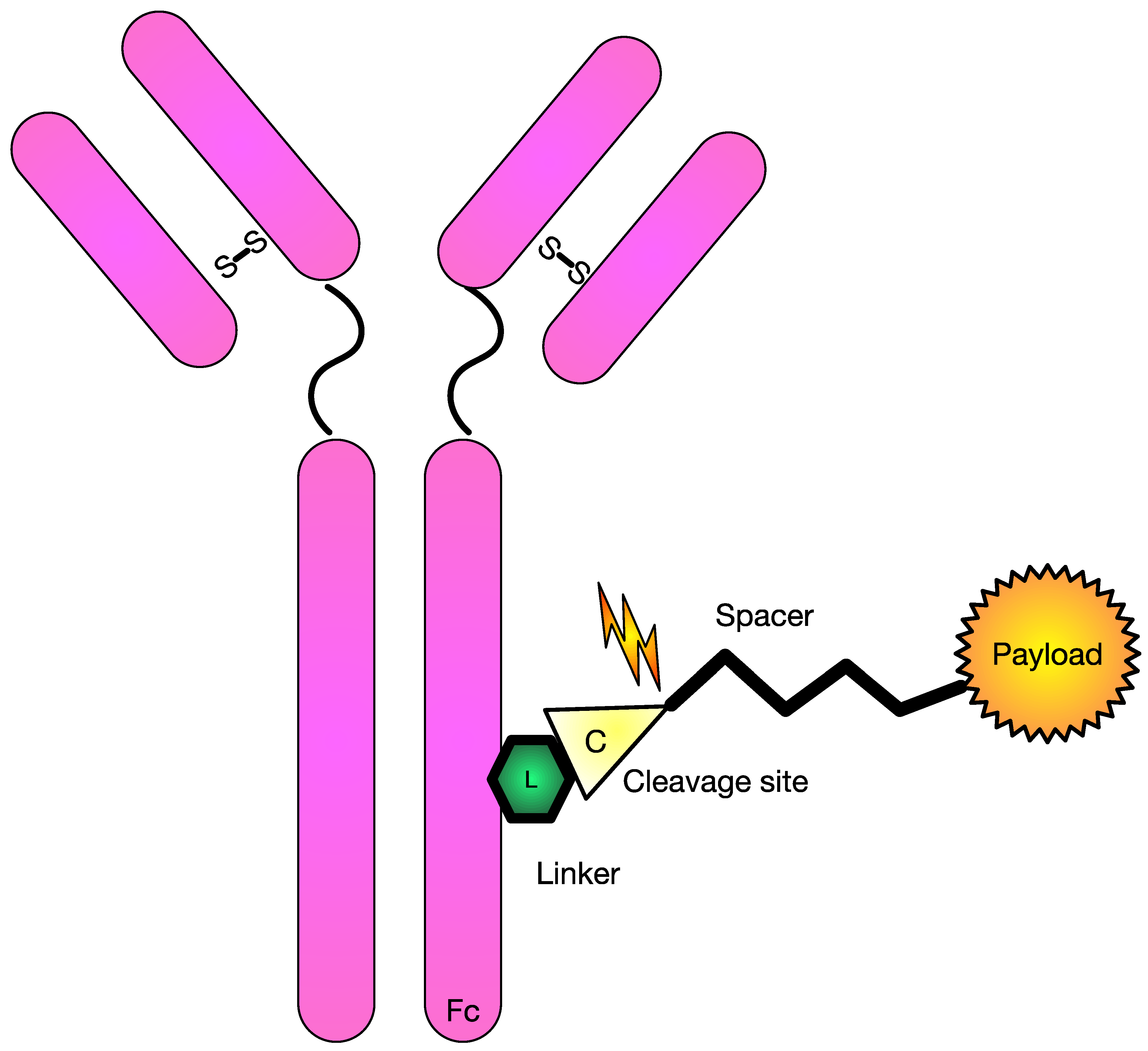 Pharmaceutics 15 02160 g001